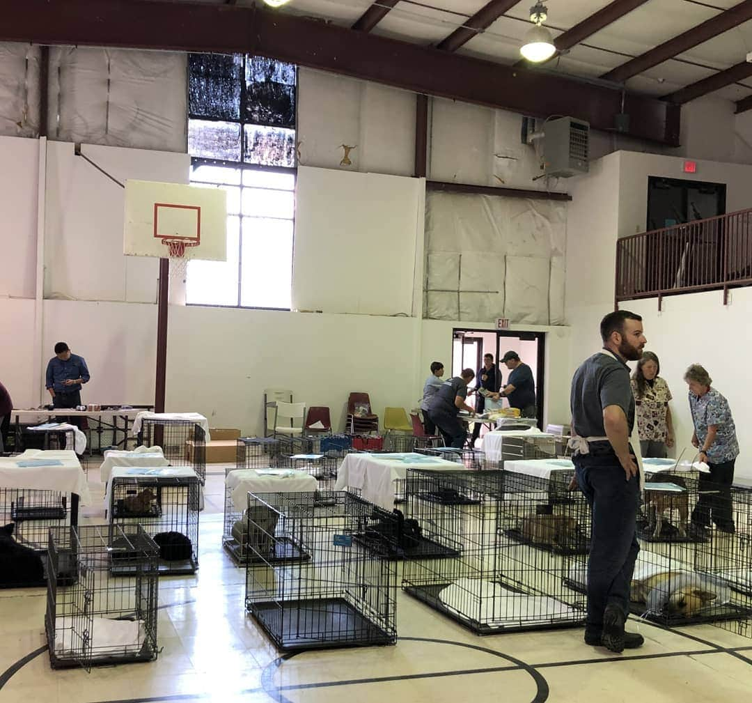 キャサリン・ハイグルさんのインスタグラム写真 - (キャサリン・ハイグルInstagram)「A huge thank you to everyone who helped make our spay/neuter and vaccination clinic at the Confederated Tribes of the Goshute Reservation in Ibapah, UT such a success last weekend! My foundation @jasonheiglfoundation sponsored the event where our partners @nuzzlesandco performed 82 sterilizations and vaccinated 95 pets. A food pantry and animal supply giveaway was also held for the local community.  Every year over 1.5 million cats and dogs are euthanized in shelters across the country simply for lack of a loving home. Helping communities where residents often cannot afford to get their animals fixed, helps prevent pet overpopulation, suffering and unnecessary euthanization. Communities spend millions of tax payer dollars each year coping with problems that spaying and neutering could easily remedy.  Please spay and neuter your pets!」10月6日 3時23分 - katherineheigl