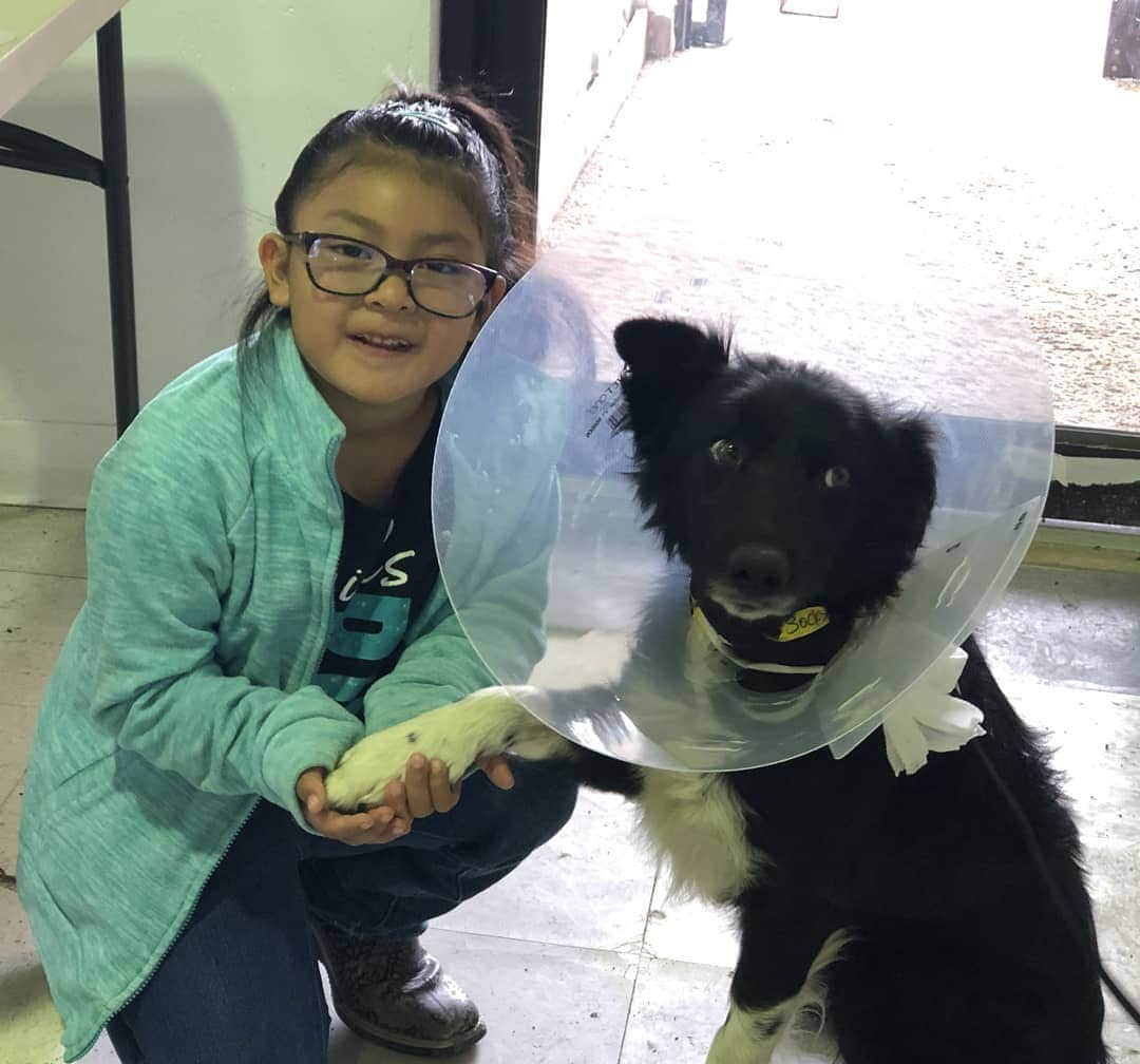 キャサリン・ハイグルさんのインスタグラム写真 - (キャサリン・ハイグルInstagram)「A huge thank you to everyone who helped make our spay/neuter and vaccination clinic at the Confederated Tribes of the Goshute Reservation in Ibapah, UT such a success last weekend! My foundation @jasonheiglfoundation sponsored the event where our partners @nuzzlesandco performed 82 sterilizations and vaccinated 95 pets. A food pantry and animal supply giveaway was also held for the local community.  Every year over 1.5 million cats and dogs are euthanized in shelters across the country simply for lack of a loving home. Helping communities where residents often cannot afford to get their animals fixed, helps prevent pet overpopulation, suffering and unnecessary euthanization. Communities spend millions of tax payer dollars each year coping with problems that spaying and neutering could easily remedy.  Please spay and neuter your pets!」10月6日 3時23分 - katherineheigl