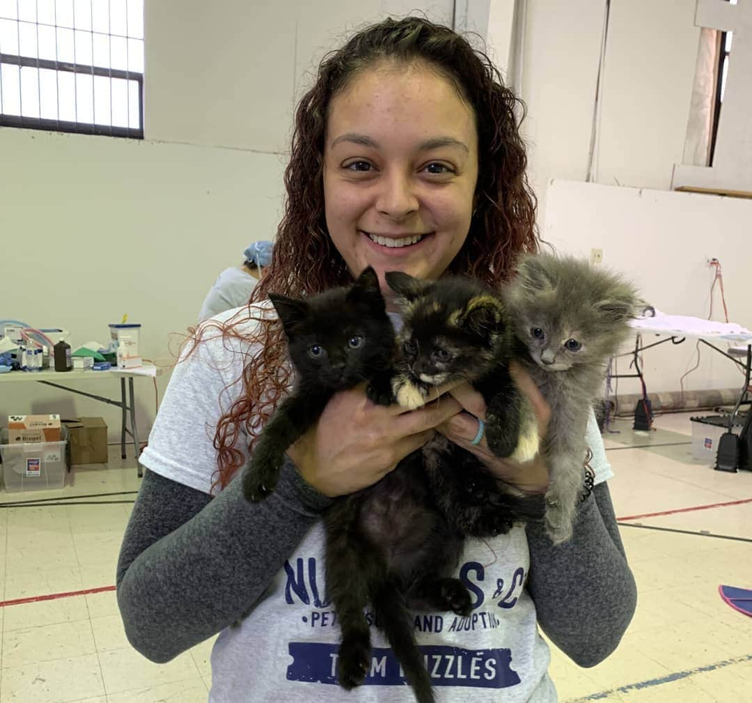 キャサリン・ハイグルさんのインスタグラム写真 - (キャサリン・ハイグルInstagram)「A huge thank you to everyone who helped make our spay/neuter and vaccination clinic at the Confederated Tribes of the Goshute Reservation in Ibapah, UT such a success last weekend! My foundation @jasonheiglfoundation sponsored the event where our partners @nuzzlesandco performed 82 sterilizations and vaccinated 95 pets. A food pantry and animal supply giveaway was also held for the local community.  Every year over 1.5 million cats and dogs are euthanized in shelters across the country simply for lack of a loving home. Helping communities where residents often cannot afford to get their animals fixed, helps prevent pet overpopulation, suffering and unnecessary euthanization. Communities spend millions of tax payer dollars each year coping with problems that spaying and neutering could easily remedy.  Please spay and neuter your pets!」10月6日 3時23分 - katherineheigl