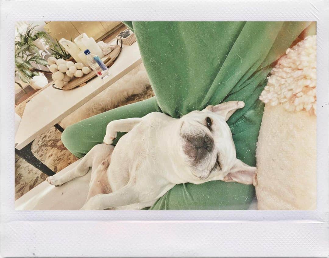 クロエ・ベネットのインスタグラム：「nap with one eye open」