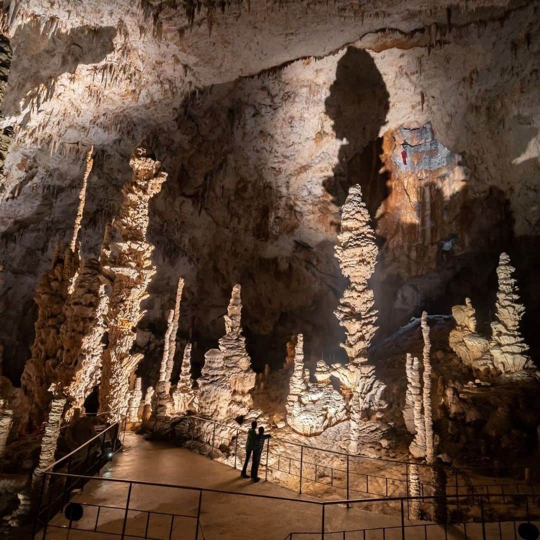 フランス大使館さんのインスタグラム写真 - (フランス大使館Instagram)「【フランスの風景🌄】アルデーシュ渓谷の地下に広がるオルニャック鍾乳洞。⛰️ 現在ではVRの技術を用いて広大な鍾乳洞内をバーチャルで歩き回る体験ができます。😮👀旧石器時代から最初のガリア人の時代まで、35万年の歴史を紐解いてみましょう！@AvendOrgnac @ArdecheGuide 🌄Un jour en France : Grâce à la réalité virtuelle 👁️ on peut maintenant arpenter le gigantesque réseau souterrain du Grand Site de @AvendOrgnac et découvrir près de 350 000 ans d’histoire ! 😮@ArdecheGuide」10月6日 8時30分 - ambafrancejp