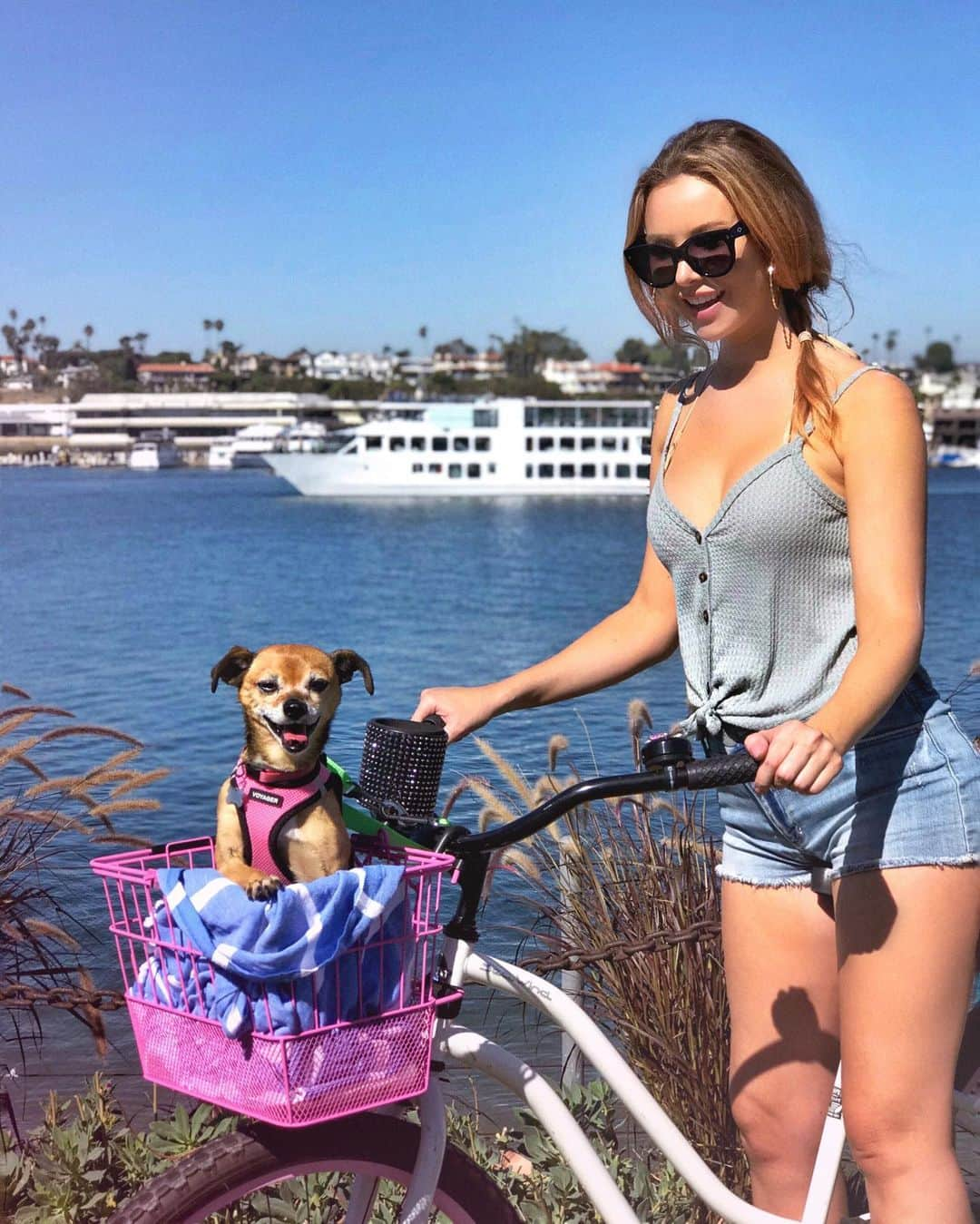 ティファニー・トートさんのインスタグラム写真 - (ティファニー・トートInstagram)「Hope you’re enjoying your Saturday as much as a dog in a bike basket 😜🚲🚲🚲」10月6日 8時42分 - tiffanytothxoxo