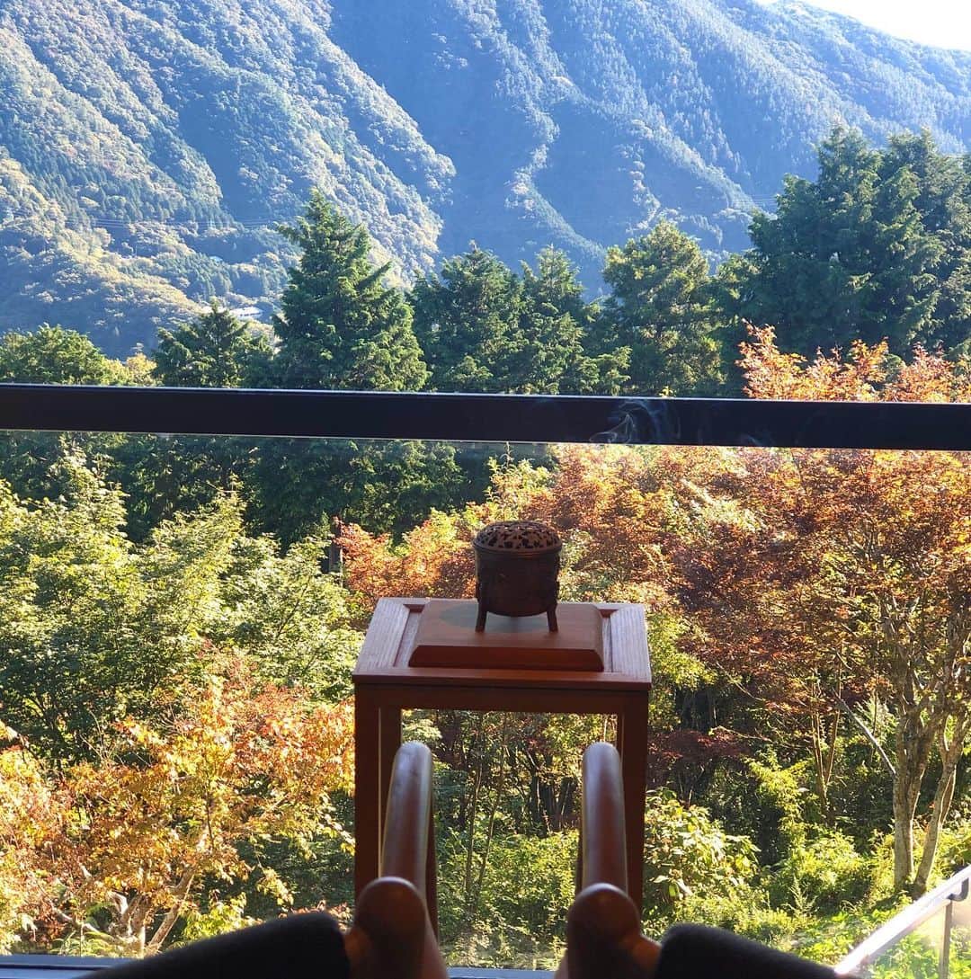 長谷川朋美さんのインスタグラム写真 - (長谷川朋美Instagram)「#強羅白檀　の朝。 箱根の山々を一望できて最高。 この宿は至るところが和のお香やアロマで 満たされていて上質な空間とおもてなし✨ ・ 箱根の山は#マイナスイオン たっぷりで本当に癒されるなぁ🥰 ・ #森林浴 #healing #癒し #和 #aroma #forest #温泉 #箱根 #onsen #hakone #白檀 #japan  #omotenashi #おもてなし」10月6日 10時20分 - hasegawa.elena.tomomi