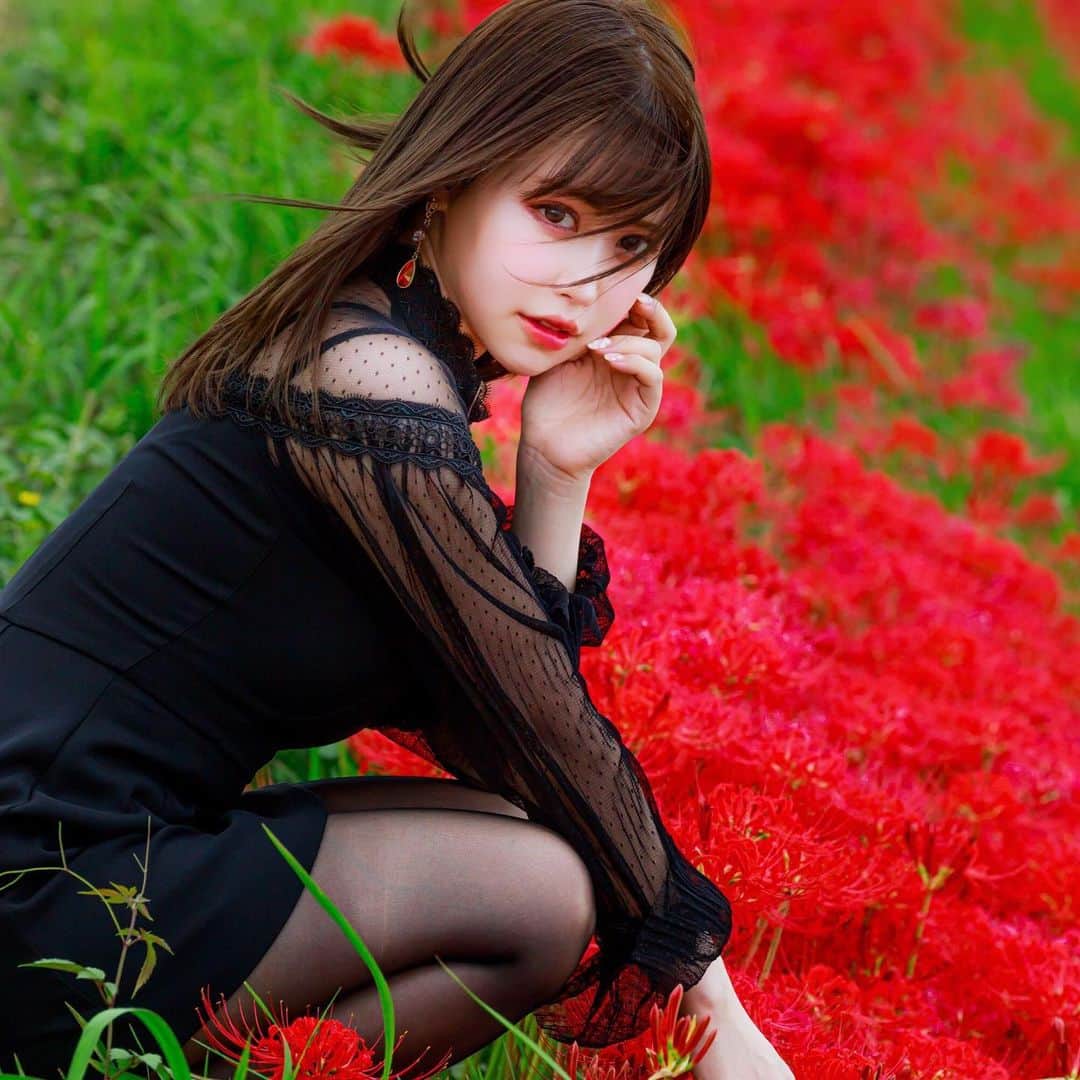 白田まい（白玉ろぷ）のインスタグラム：「彼岸花……🥀 .  暴風すぎて髪がえらいことになってますが頑張りました(笑)  綺麗な彼岸花でした〜🥺✨ #彼岸花 #彼岸花撮影 #ポートレート #被写体 #撮影モデル #photo #ootd #photos #black #red」