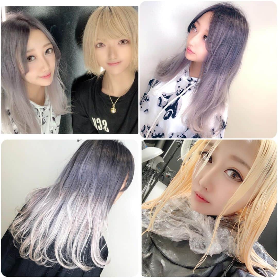 若月雅のインスタグラム：「カラー行ってきた(●´ω｀●)✨ 久しぶりにグレーシルバーグラデにしてもらいました！ 全頭ブリーチ2回で白金からの、ばっちり好みのカラーに(๑╹ω╹๑ ) 全頭ブリーチは3年振りww  ありがとうございました♡ . #salonryu #赤坂 #ヘアカラー #グレーシルバー  #draghoney」