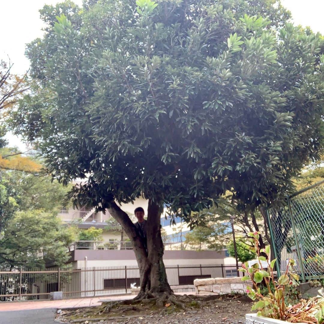 佐久間一行のインスタグラム