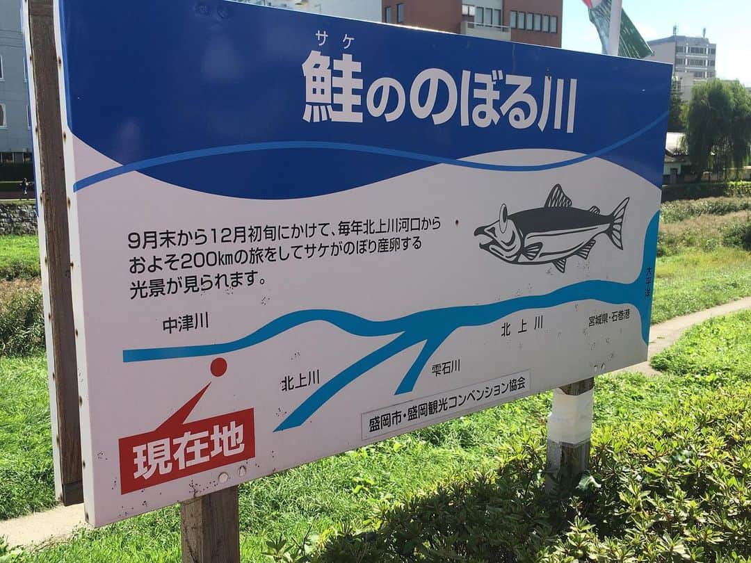 六車奈々さんのインスタグラム写真 - (六車奈々Instagram)「鮭の遡上を見に中津川へ寄ったけど、、、。 見れなかった( T_T)  #中津川 #鮭の遡上 #見れず」10月6日 15時26分 - nanarokusha