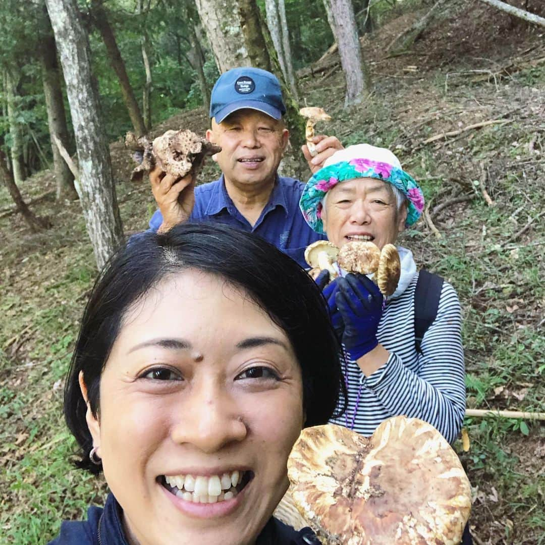 ヤミーさんのインスタグラム写真 - (ヤミーInstagram)「恒例のきのこ狩り。 「鹿教湯温泉友の会」の都合が合わず、ソロ活動でしたが、山盛りの収穫！ * 今年は、雨が降らず気温が高くて、収穫量がだいぶ少ないそうですが、昨日はどの山も結構生えていたらしく。 ラッキーなことに、例年なら終わってるタイミングの一本シメジもたくさん出てて！ 松茸にクロカワも採れました。 * 本来ならタイミングが違うきのこ同士が一緒に出てたり、気候の変化にきのこが戸惑ってる感じがする、とのこと。 * 夏の終わりに雨が降って、気温が下がってきて、ばっときのこが生えて。 というサイクルが、ここ最近ははっきりしなくなっているそう。 昔は、飽きるくらい採れたのにね〜、と。 温暖化の影響を実感です。 美味しいもののためにも、なんとかしなければ。 * 採れたものは、 右側の漏斗状のもの #香茸  左下 #一本シメジ  真ん中のトレーに入っているもの #クロカワ  その上のパックに入ってるの #松茸  松茸の左 #アミタケ  その左 #ベニシメジ * そして、山の収穫物は、すぐに下ごしらえ。 石突きの土を削って茹でてから洗って、塩漬けにします。 * #鹿教湯温泉友の会 #きのこ狩り #長野県 #上田市 #鹿教湯温泉」10月6日 16時01分 - ym_3stepcooking