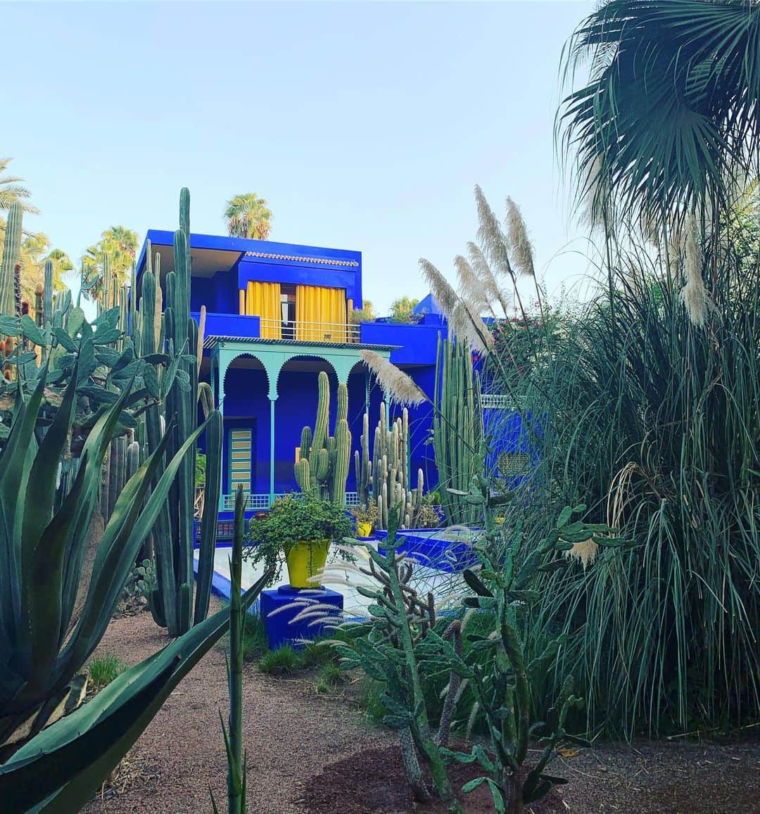 オードリー亜谷香のインスタグラム：「Woke at 5am from jet lag and first in line to Le Jardin Majorelle 💛」