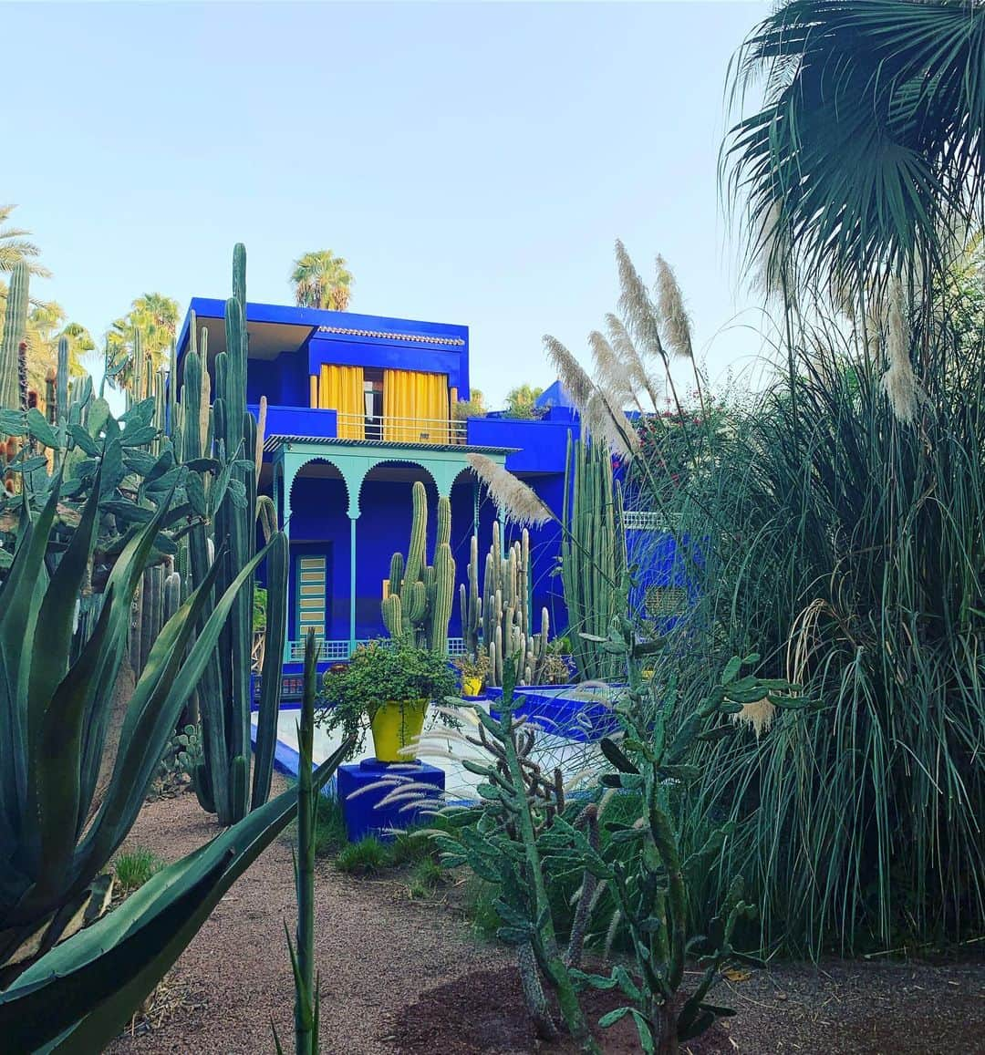 オードリー亜谷香さんのインスタグラム写真 - (オードリー亜谷香Instagram)「Woke at 5am from jet lag and first in line to Le Jardin Majorelle 💛」10月6日 16時29分 - audrey_ayaka