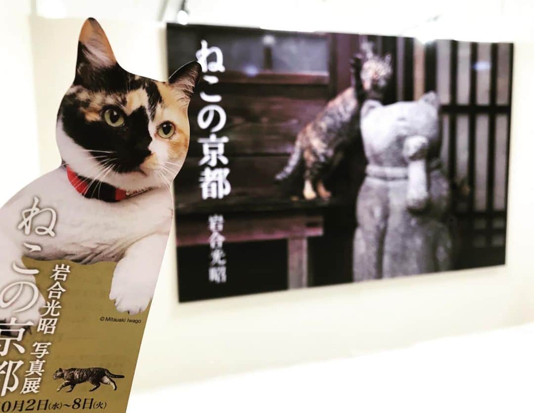 石橋美希のグルメインスタ