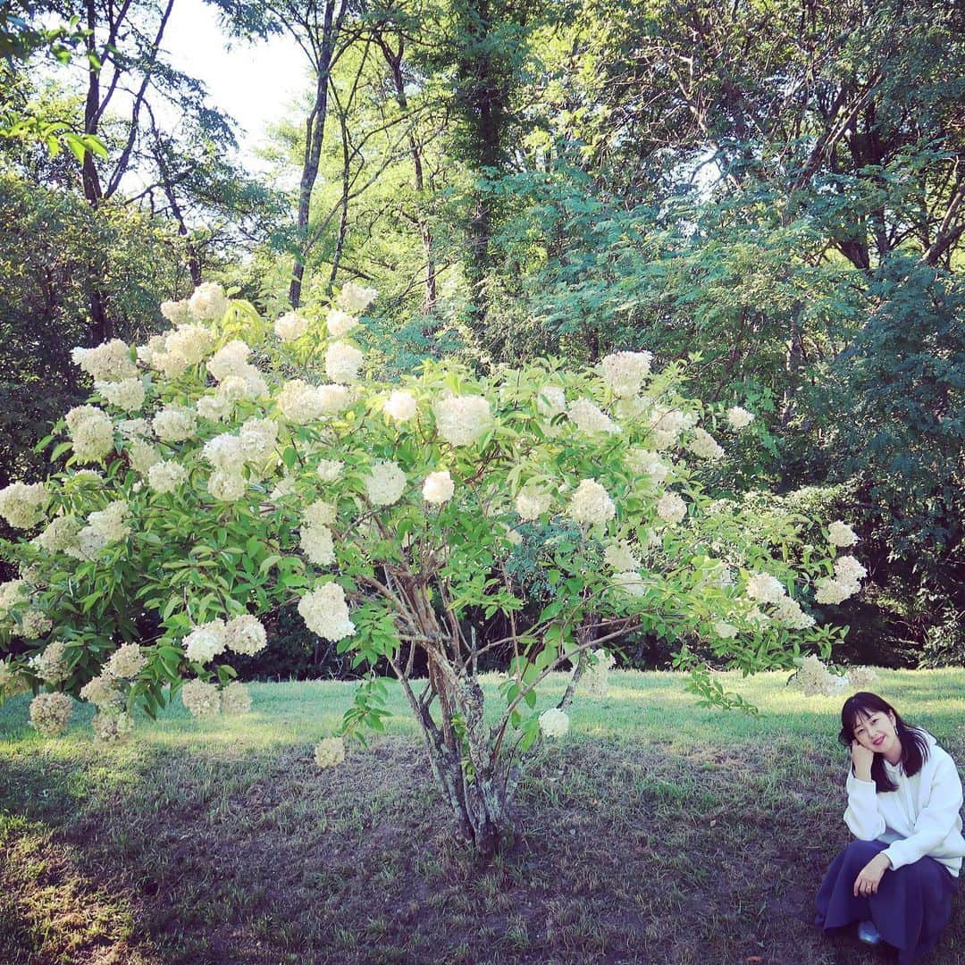 笛木優子さんのインスタグラム写真 - (笛木優子Instagram)「10月なのに暑かったり😅服装に困りますね🦚  みなさん体調崩されませんように。。。 #ミューニック #ライトパーカー」10月6日 17時36分 - yukofuekiyumin