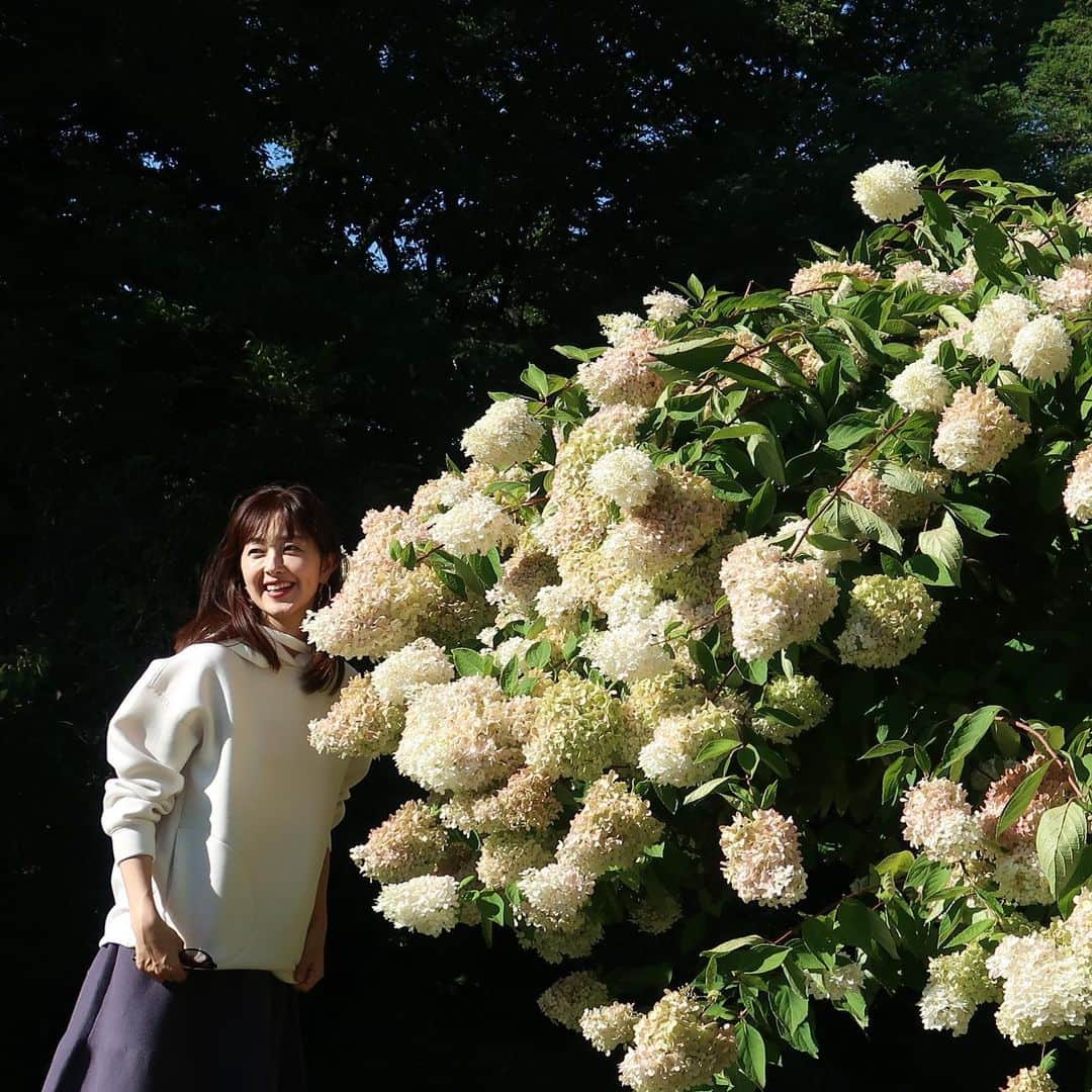 笛木優子のインスタグラム：「10月なのに暑かったり😅服装に困りますね🦚  みなさん体調崩されませんように。。。 #ミューニック #ライトパーカー」