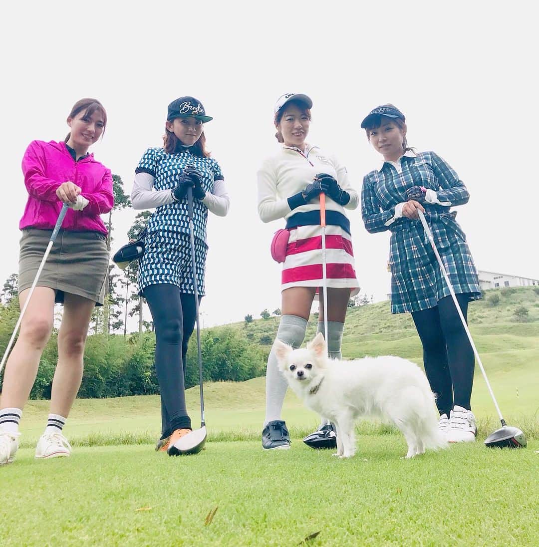 大河内美紗さんのインスタグラム写真 - (大河内美紗Instagram)「女の子だけで朝から気合いのラウンド⛳️わんちゃんも一緒🐶思い出いっぱい❤️ #ゴルフ #ゴルフ女子 #golf」10月6日 18時33分 - misa_okochi
