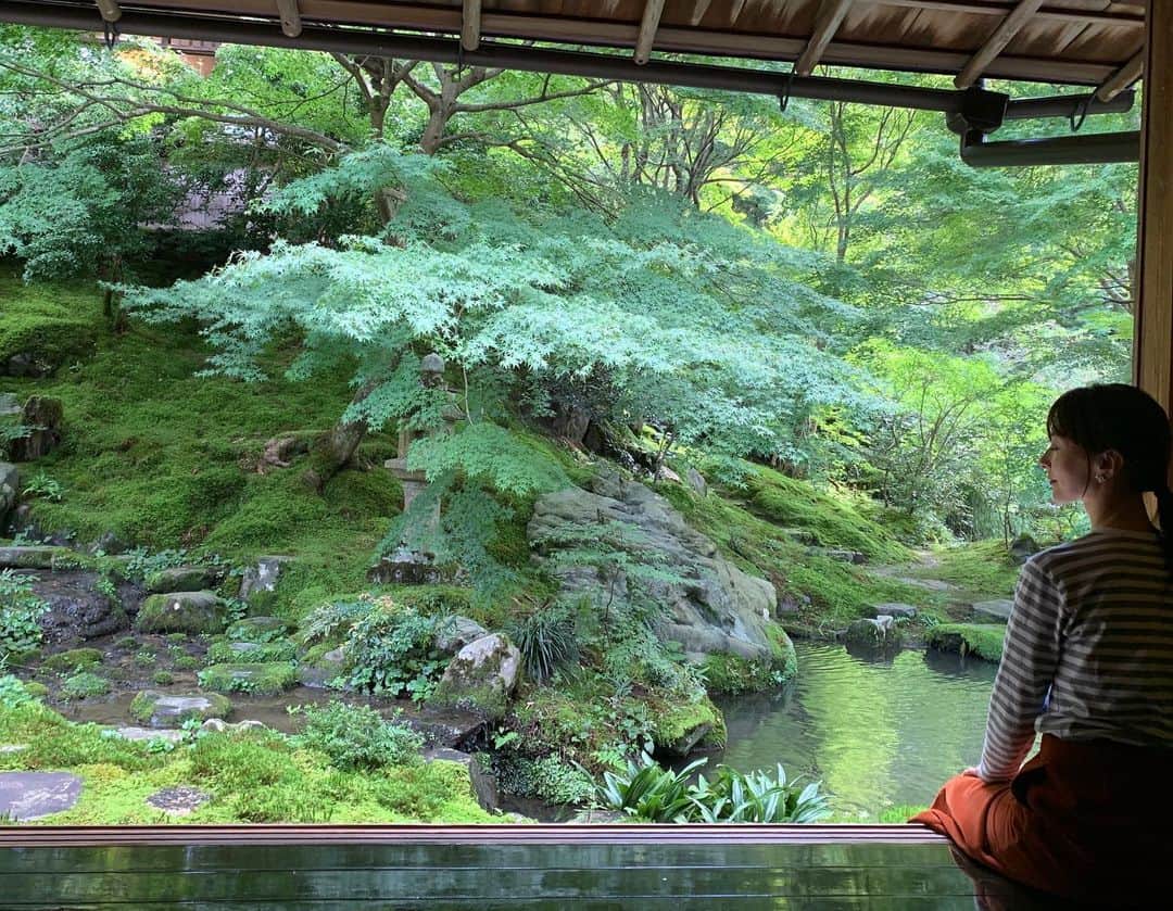 東麻美さんのインスタグラム写真 - (東麻美Instagram)「京都に寄り道。 瑠璃光院、綺麗なお庭 ずっと眺めていたい。  #京都人の密かな愉しみ #庭師修行 #麻美旅 #japan#trip#kyoto#love」10月6日 19時53分 - asamihigashi