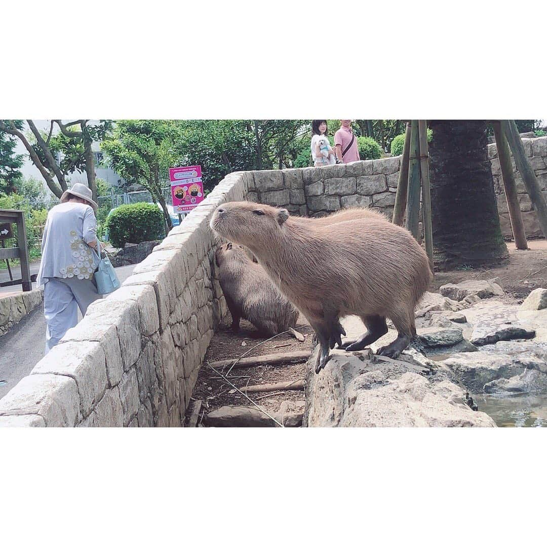 四宮吏桜のインスタグラム