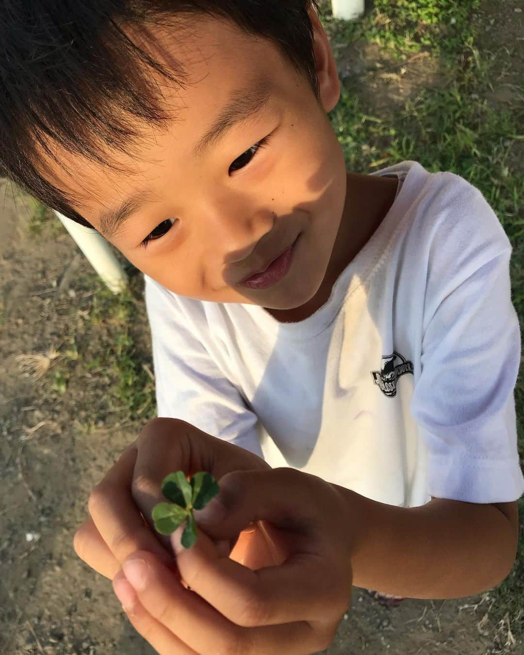 ロッシーさんのインスタグラム写真 - (ロッシーInstagram)「息子は、すごい！！ 公園で、急に、あ！と、立ち止また！で、 「四葉のクローバーだ！」四葉のクローバーを発見する！よくテレビでみる、四葉のクローバー発見めちゃくちゃする天才妖精ちゃん見たいにな感じでした！ で、すごいね！って言うと、なんかある感じがしたんだよ！って言う。で、しばらくみんなで探したが、無くあきらめた。探せば見つかるものでも無いんだね！諦めて移動したら、あ！と、息子が！え！まさか？！ そうです！「四葉のクローバー だ！」と、 2つ目を！！！びっくり！まさかこんな短時間に、2つも！不意に見つかる！すごい！ 子供は、すごいね！！なので、 記念すべき2つの「幸せの四葉のクローバーー」を、キーホルダーに、しましたよ！ シリコン型に、レジンを流して、紫外線で固めて出来上がり！ 世界で一つの、幸せの四葉のクローバー手作りキーホルダーの完成！！ 良いことありますよーに！ #四葉のクローバー #息子 #娘 #公園 #発見 #幸せ #キーホルダー #世界で一つの幸せの四葉のクローバー手作りキーホルダー #野性爆弾 #ロッシー #より。 #ロシ写真 #ロシ動画　息子が急に立ち止まって発見する前の動画。」10月6日 20時34分 - yaseibakudan_rossy