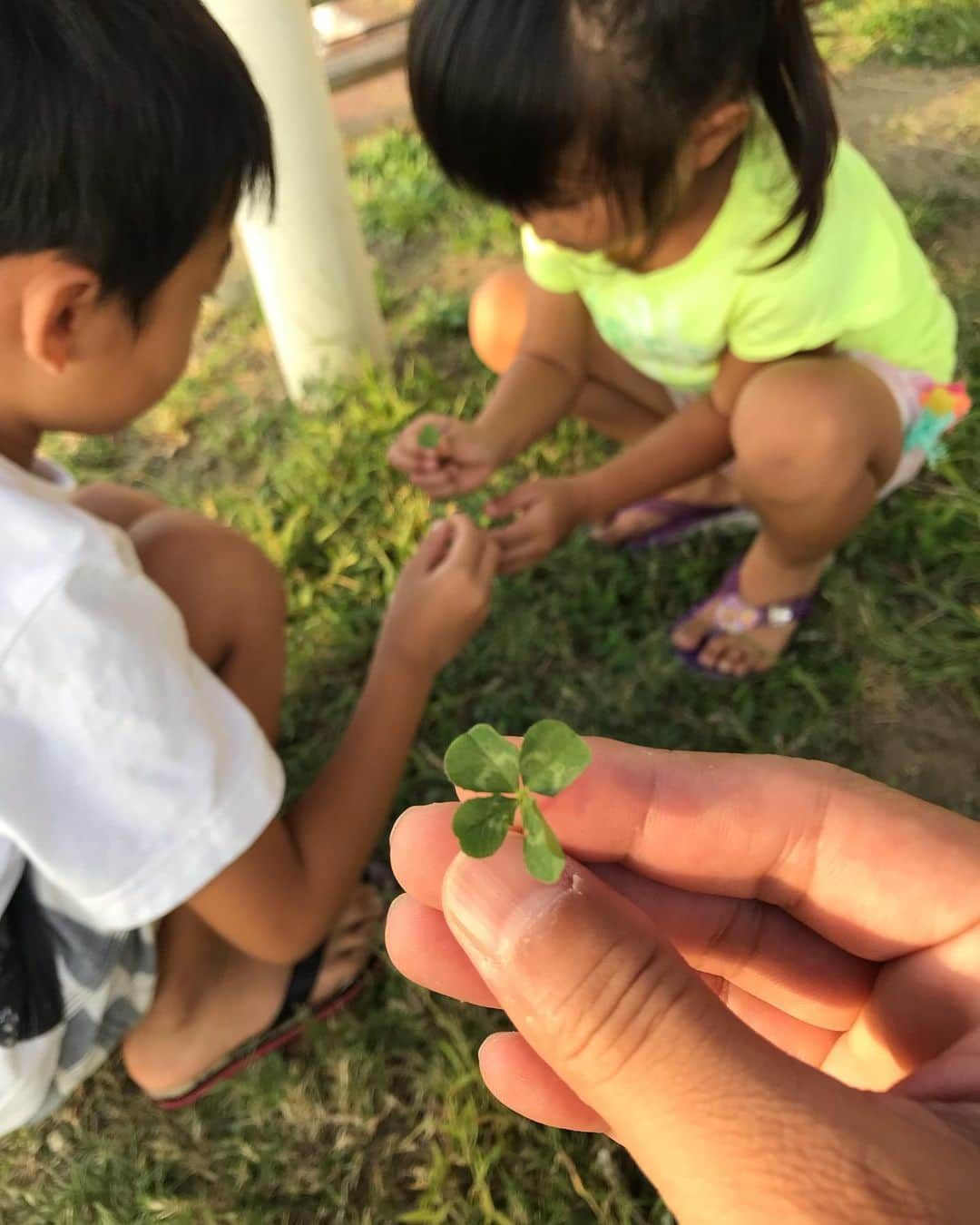 ロッシーさんのインスタグラム写真 - (ロッシーInstagram)「息子は、すごい！！ 公園で、急に、あ！と、立ち止また！で、 「四葉のクローバーだ！」四葉のクローバーを発見する！よくテレビでみる、四葉のクローバー発見めちゃくちゃする天才妖精ちゃん見たいにな感じでした！ で、すごいね！って言うと、なんかある感じがしたんだよ！って言う。で、しばらくみんなで探したが、無くあきらめた。探せば見つかるものでも無いんだね！諦めて移動したら、あ！と、息子が！え！まさか？！ そうです！「四葉のクローバー だ！」と、 2つ目を！！！びっくり！まさかこんな短時間に、2つも！不意に見つかる！すごい！ 子供は、すごいね！！なので、 記念すべき2つの「幸せの四葉のクローバーー」を、キーホルダーに、しましたよ！ シリコン型に、レジンを流して、紫外線で固めて出来上がり！ 世界で一つの、幸せの四葉のクローバー手作りキーホルダーの完成！！ 良いことありますよーに！ #四葉のクローバー #息子 #娘 #公園 #発見 #幸せ #キーホルダー #世界で一つの幸せの四葉のクローバー手作りキーホルダー #野性爆弾 #ロッシー #より。 #ロシ写真 #ロシ動画　息子が急に立ち止まって発見する前の動画。」10月6日 20時34分 - yaseibakudan_rossy