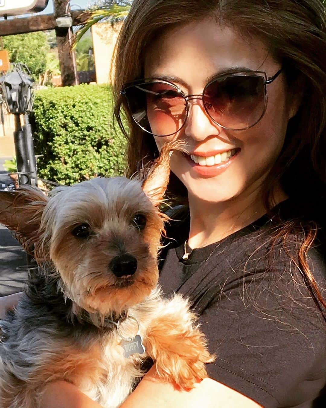 のインスタグラム：「#dog」