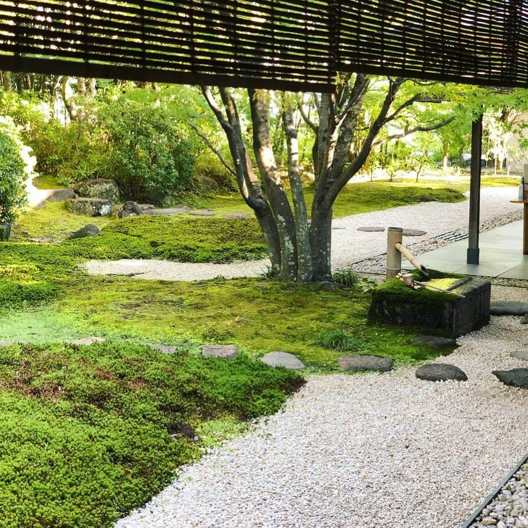 岡田育さんのインスタグラム写真 - (岡田育Instagram)「Intermission. This is not a part of Aichi Triennale 2019, yet Toyota museum has two beautiful annexes. One is a traditional tea ceremony house named “Douji-en” (having a calm $3 tea break), another is a Takahashi Setsuro Gallery with his japanese lacquer artpieces. #豊田市美術館 #toyotamunicipalmuseumofart  #doujien #setsurotakahashi #japaneseteaceremony #teabreak #chashitsu #茶室 #japaneselacquer #漆芸 #谷口吉生 #yoshiotaniguchi . . #あいちトリエンナーレ 観に来た人は結構スキップしてしまうかもしれないが、 #童子園 と #高橋節郎館 が存外に良くて長居してしまった！ やー、豊田市、豊か……電車の駅はショボいのに笑、クルマ由来トヨタぢからによる、圧倒的な文化度の高さを見ましたよ……。」10月7日 7時59分 - okadaic