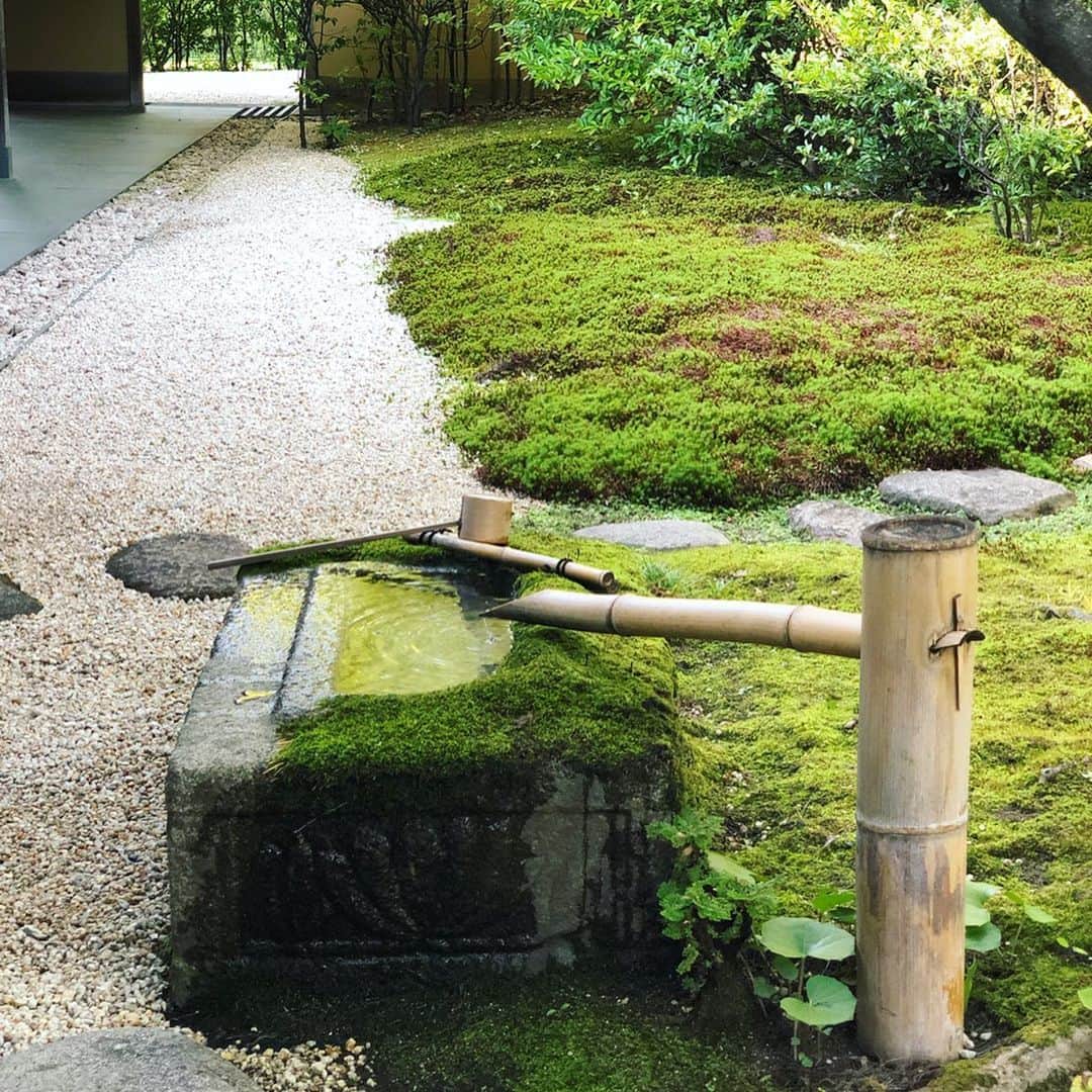 岡田育さんのインスタグラム写真 - (岡田育Instagram)「Intermission. This is not a part of Aichi Triennale 2019, yet Toyota museum has two beautiful annexes. One is a traditional tea ceremony house named “Douji-en” (having a calm $3 tea break), another is a Takahashi Setsuro Gallery with his japanese lacquer artpieces. #豊田市美術館 #toyotamunicipalmuseumofart  #doujien #setsurotakahashi #japaneseteaceremony #teabreak #chashitsu #茶室 #japaneselacquer #漆芸 #谷口吉生 #yoshiotaniguchi . . #あいちトリエンナーレ 観に来た人は結構スキップしてしまうかもしれないが、 #童子園 と #高橋節郎館 が存外に良くて長居してしまった！ やー、豊田市、豊か……電車の駅はショボいのに笑、クルマ由来トヨタぢからによる、圧倒的な文化度の高さを見ましたよ……。」10月7日 7時59分 - okadaic