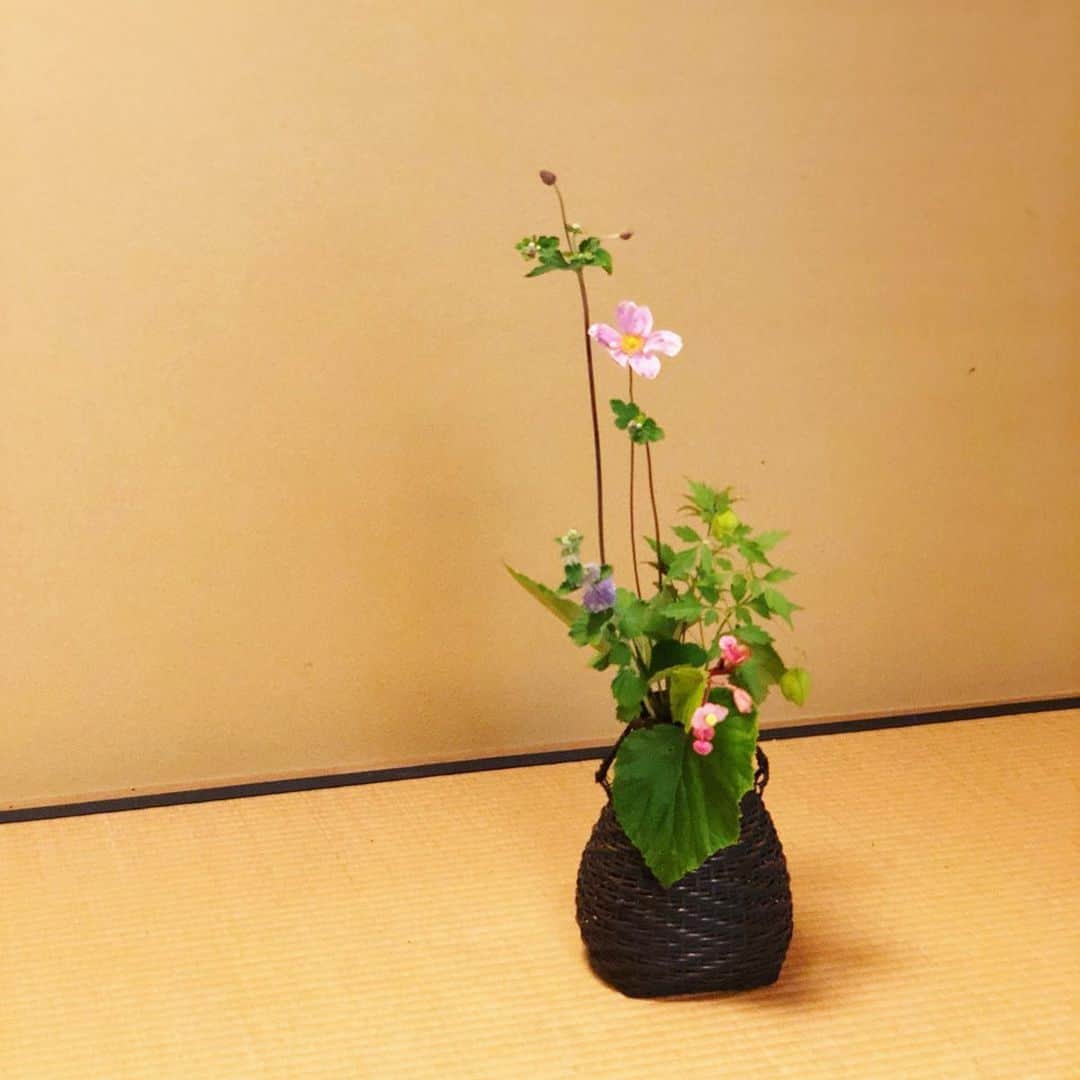 岡田育さんのインスタグラム写真 - (岡田育Instagram)「Intermission. This is not a part of Aichi Triennale 2019, yet Toyota museum has two beautiful annexes. One is a traditional tea ceremony house named “Douji-en” (having a calm $3 tea break), another is a Takahashi Setsuro Gallery with his japanese lacquer artpieces. #豊田市美術館 #toyotamunicipalmuseumofart  #doujien #setsurotakahashi #japaneseteaceremony #teabreak #chashitsu #茶室 #japaneselacquer #漆芸 #谷口吉生 #yoshiotaniguchi . . #あいちトリエンナーレ 観に来た人は結構スキップしてしまうかもしれないが、 #童子園 と #高橋節郎館 が存外に良くて長居してしまった！ やー、豊田市、豊か……電車の駅はショボいのに笑、クルマ由来トヨタぢからによる、圧倒的な文化度の高さを見ましたよ……。」10月7日 7時59分 - okadaic