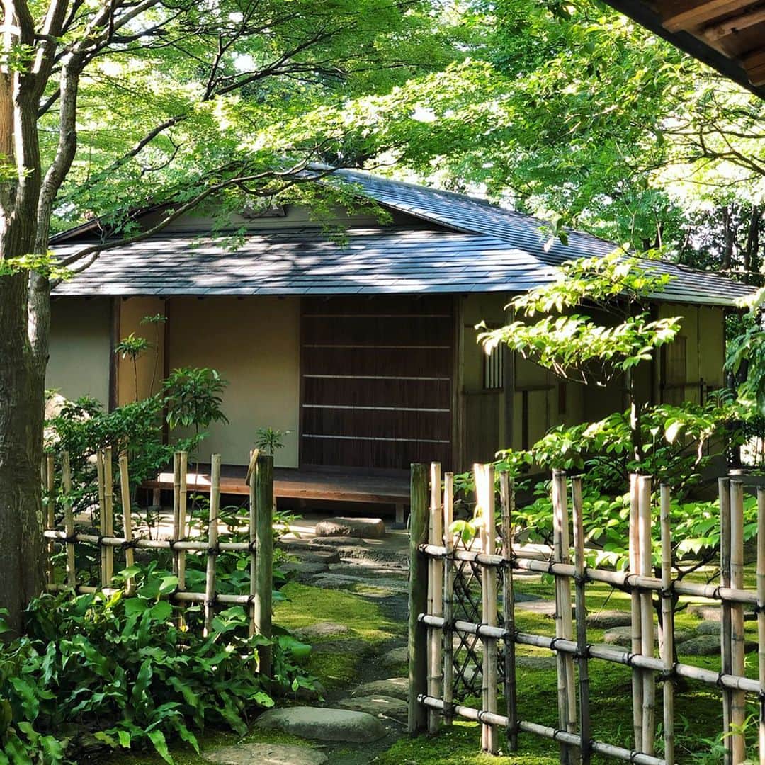 岡田育さんのインスタグラム写真 - (岡田育Instagram)「Intermission. This is not a part of Aichi Triennale 2019, yet Toyota museum has two beautiful annexes. One is a traditional tea ceremony house named “Douji-en” (having a calm $3 tea break), another is a Takahashi Setsuro Gallery with his japanese lacquer artpieces. #豊田市美術館 #toyotamunicipalmuseumofart  #doujien #setsurotakahashi #japaneseteaceremony #teabreak #chashitsu #茶室 #japaneselacquer #漆芸 #谷口吉生 #yoshiotaniguchi . . #あいちトリエンナーレ 観に来た人は結構スキップしてしまうかもしれないが、 #童子園 と #高橋節郎館 が存外に良くて長居してしまった！ やー、豊田市、豊か……電車の駅はショボいのに笑、クルマ由来トヨタぢからによる、圧倒的な文化度の高さを見ましたよ……。」10月7日 7時59分 - okadaic