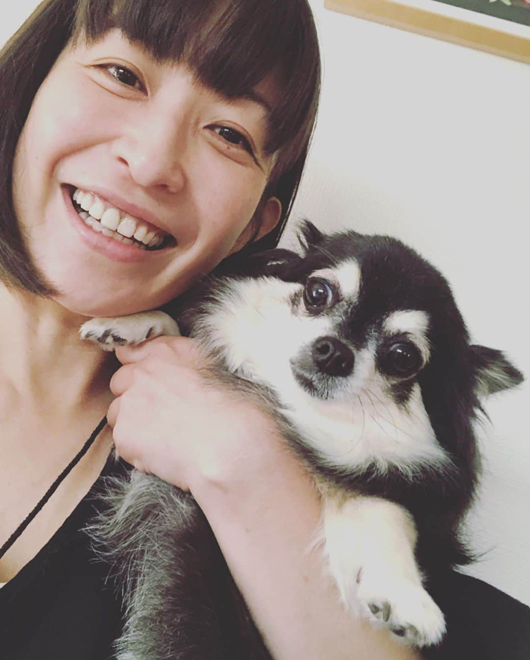 小野真弓さんのインスタグラム写真 - (小野真弓Instagram)「おはようございます(*´∀｀*)✨ 今日も良い一日を🍁 涼しくて爽やかあさんぽ🐶🐶 それだけでは足りないハルくん。ボール投げ追加🎾😏 にこにこ大はしゃぎ！ この後、お留守番な事はまだ知らない。。 #チワワ#ハナちゃん #チワマル#ハルくん #あさんぽ#いぬばか部 #いぬすたぐらむ #chihuahua #maltese #mixdog #doglover #dogstagram  久しぶりに化粧水パックしたらお肌つやつや。やっぱり保湿って大事だー🍎」10月7日 8時40分 - hanaharuaroi