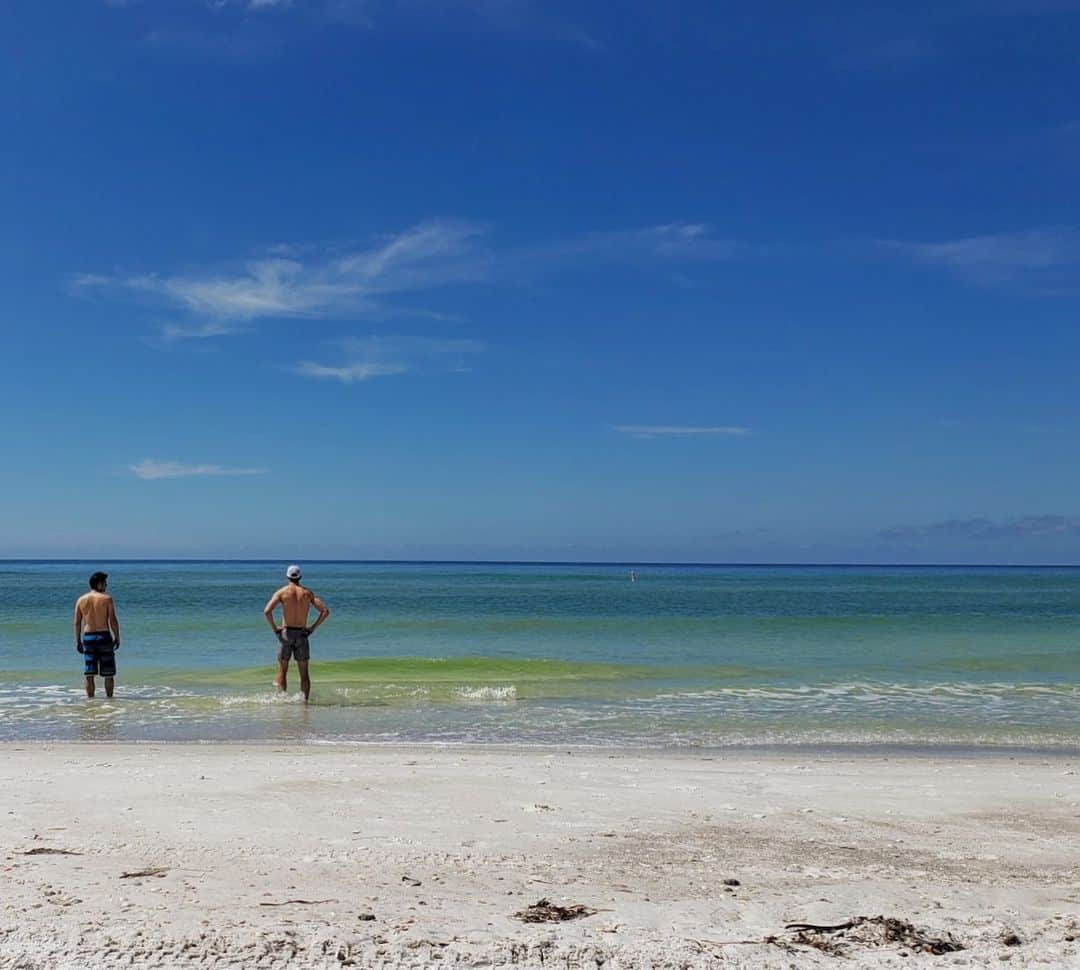 ジェームズ・ラファティのインスタグラム：「Too afraid of sharks to pee in the ocean.」