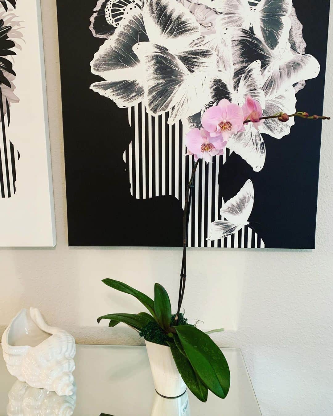 のインスタグラム：「#my room #art # orchid」