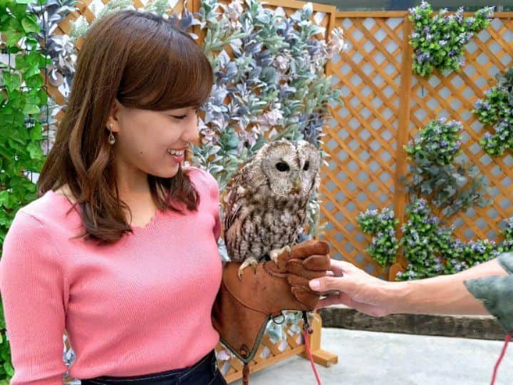 久保円華のインスタグラム：「ここにも、そこにも、あそこにも、鳥ぃぃいー！🐦 私はハシビロコウに似ているらしい🤷  #掛川花鳥園#フクロウ#モリフクロウ#オオハシ#ハシビロコウ#静岡#掛川市#そろりそろり#久保円華」