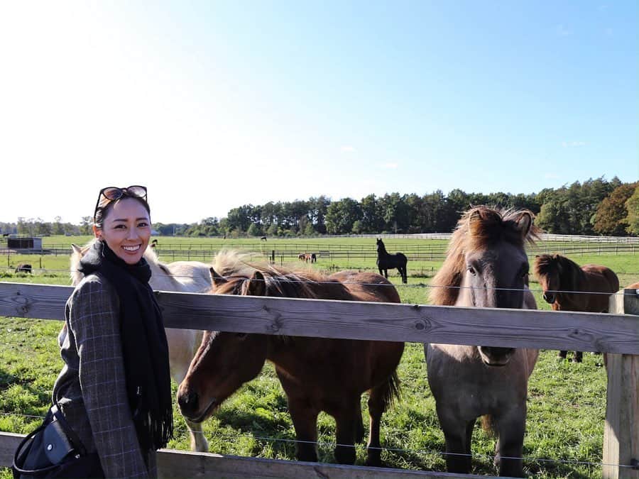 東美樹さんのインスタグラム写真 - (東美樹Instagram)「My therapy💓🐴 コペンから車で北に40分程走らせると広大な自然がどーんとお出迎え。そして至る所に私の大〜好きなお馬さんが！乗馬、久しぶりにやりたくなりました☺︎ #Mikichangin🇩🇰 #旅忘備録 . . . #copenhagenlife #visitdenmark #girlstravel #travelgram #traveleurope #horsebackriding  #ヨーロッパ旅行 #タビジョ #デンマーク #乗馬」10月7日 17時44分 - mikko.36___