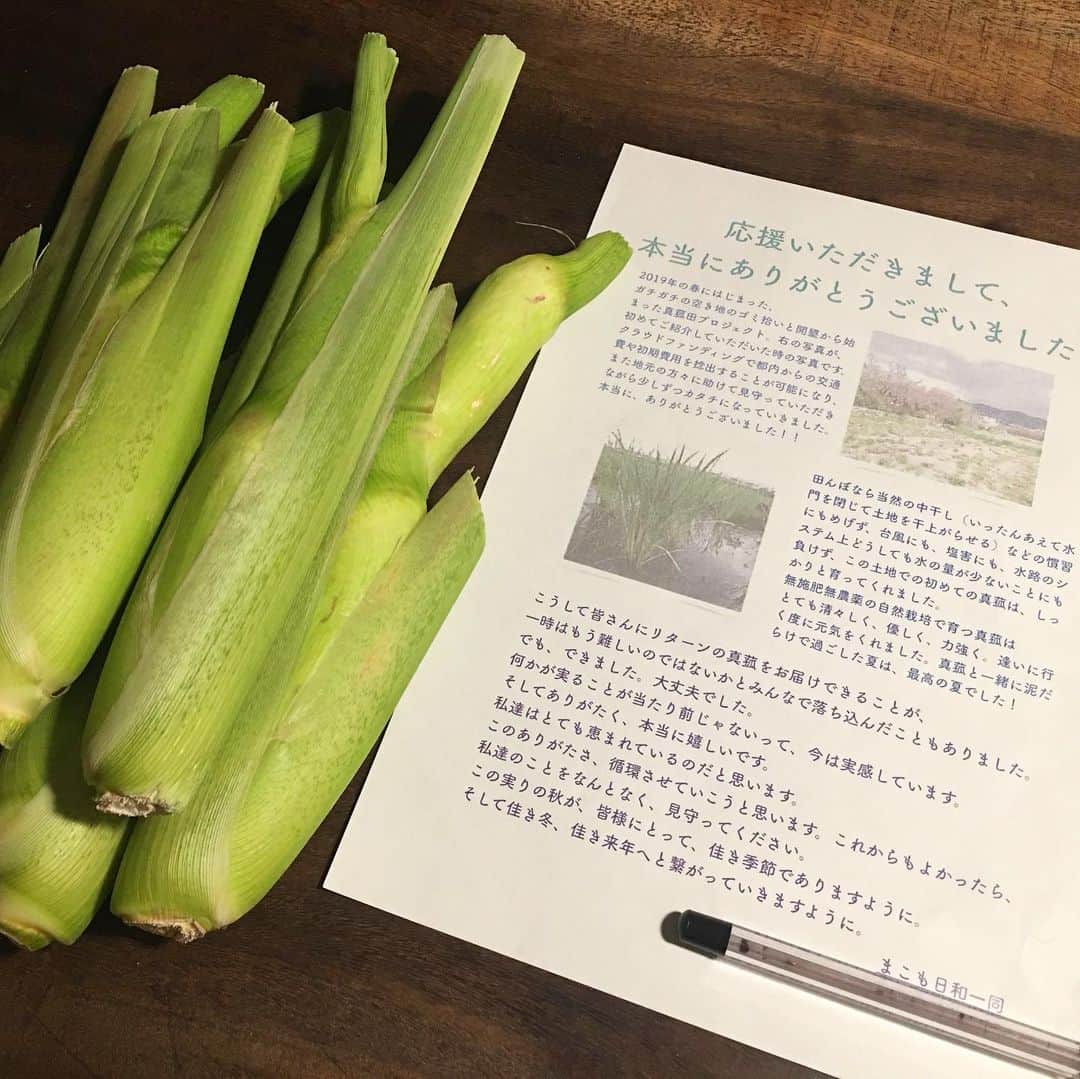 甲斐麻美さんのインスタグラム写真 - (甲斐麻美Instagram)「ツイッターでご紹介させていただきました、友達がやっております #まこも日和 のクラウドファンディングのリターン品である #真菰 がついに届きました！  待ちに待ったよ！ ピカピカの真菰さま🙏✨ 友達とそのお仲間の皆様は遠方から真菰田に通い、酷暑の中でも台風や水の管理や草刈りなど本当に大変な作業を乗り越えて来られました。  わたしはクラウドファンディングで本当に少ししかお手伝いが出来なかったけど😣こうして皆様の汗と涙と、喜びと生きる力も入った真菰が届いて感動しています。  届いた真菰は、まず、めっちゃいーい匂い。 甘くて少し青くて、昼寝の日向みたいな、なんだか穏やかな匂いがして、ずっと嗅いでたい感じです。  真菰は、熊本時代はだいたい毎年食べていましたが、引っ越してからはまず見ません。 どんな植物で、どうやって育ってってのも、熊本にいる時は気にもしてませんでした。  ただ、栄養価が高くて美味しいってことくらいしか知らなかったな。生で食べれるって事も（笑）  調べれば調べるほど神秘の植物。  出雲大社のしめ縄にも使われているなんて、本当に驚きましたが、家の中に適当に葉っぱをぶら下げてるだけで空気が変わるのでね、こりゃあ凄いぞと。  真菰は葉っぱはお茶に出来るし、お風呂に入れてもいいし、枕の中に入れてもいいんです。  ピーラーで向いた皮も一緒に乾かして、わたしはお茶とお酒に漬け込みます。 全てを無駄なくありがたくいただきます。  皮を向いたら輪切りにして、まずそのまま食べました。 やっぱ、コレだ、、、ってね。 この季節は絶対真菰食べた方がいいと思った。 夏場に知らぬ間に溜め込んだ、身体の中の悪いもの(精神的なものも)が、スーっと流れていく感じが体感として分かるんです。  その後はオリーブオイルと天草の塩で和えて食べました。  真菰、油と相性いいんですよね。今日はどうやって食べようかなー。大事にいただきます！  また来年もやられるみたいなので、始まったらお知らせします！みんなで真菰と元気になりましょう✨✨✨✨ #真菰 #まこも #まこも日和 #クラウドファンディング #この活動を知ってもらいたい #これからも応援よろしくお願い致します #甲斐麻美」10月7日 11時37分 - kaico_asami