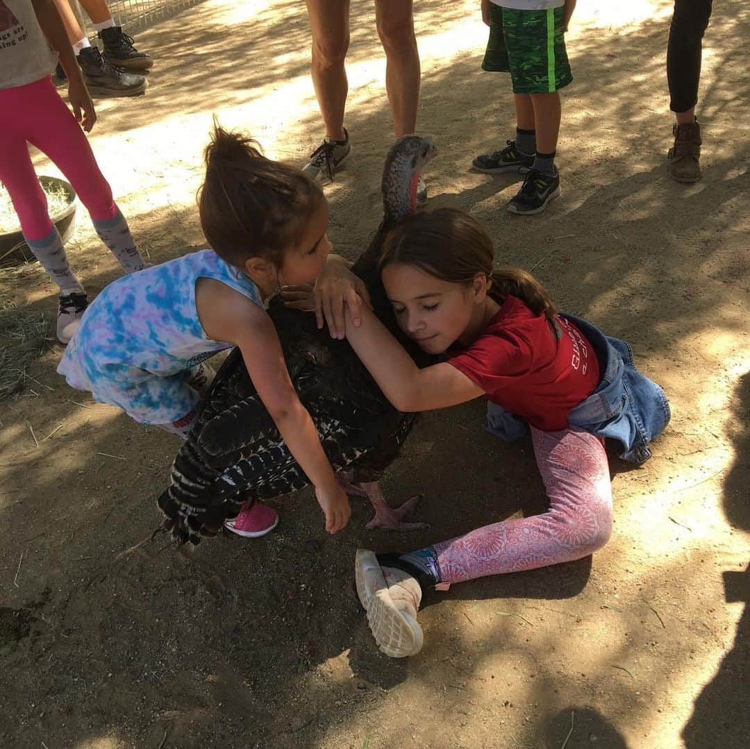 チャド・ロウさんのインスタグラム写真 - (チャド・ロウInstagram)「Beautiful day on the farm! #raisingdaughters  #blessed」10月7日 13時13分 - ichadlowe