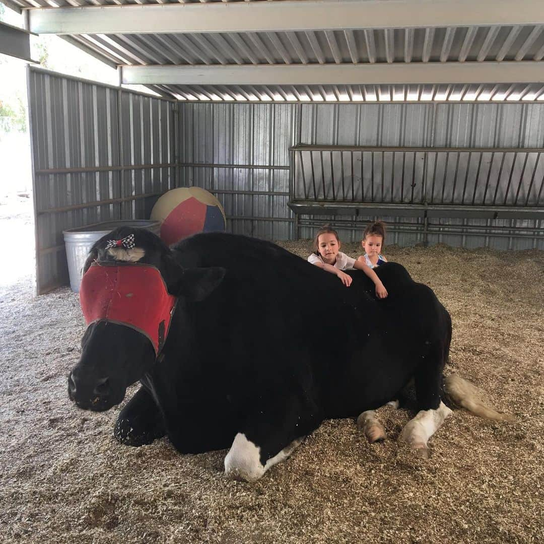 チャド・ロウさんのインスタグラム写真 - (チャド・ロウInstagram)「Beautiful day on the farm! #raisingdaughters  #blessed」10月7日 13時13分 - ichadlowe