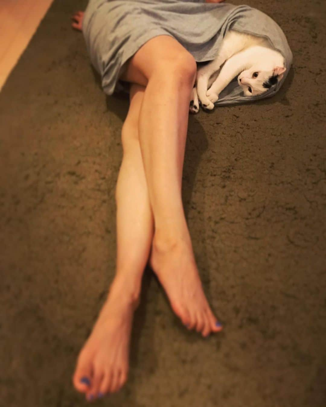 佐藤乃莉さんのインスタグラム写真 - (佐藤乃莉Instagram)「My new Pajama is the cat's pajamas👍 ... Just kidding. 😜  #kidding#cat#pajama#ねこ#おすし#love#family」10月7日 13時23分 - nori_sato_