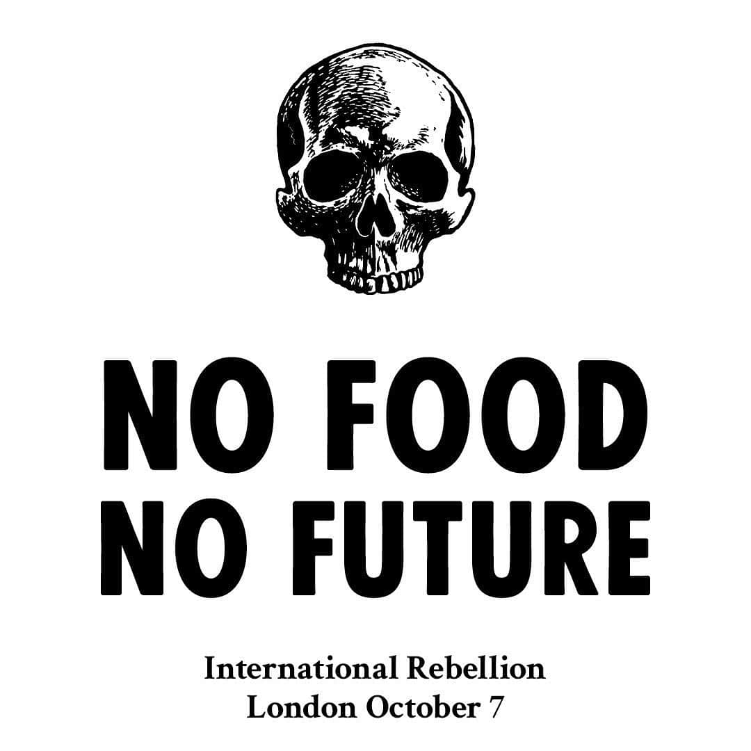 カーラ・デルヴィーニュのインスタグラム：「#EverybodyNow #ExtinctionRebellion #TheTimeIsNow @extinctionrebellion」