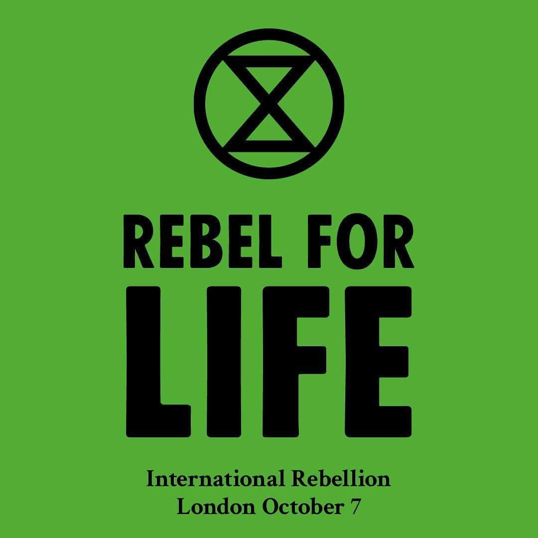 カーラ・デルヴィーニュさんのインスタグラム写真 - (カーラ・デルヴィーニュInstagram)「#EverybodyNow #ExtinctionRebellion #TheTimeIsNow @extinctionrebellion」10月7日 14時44分 - caradelevingne