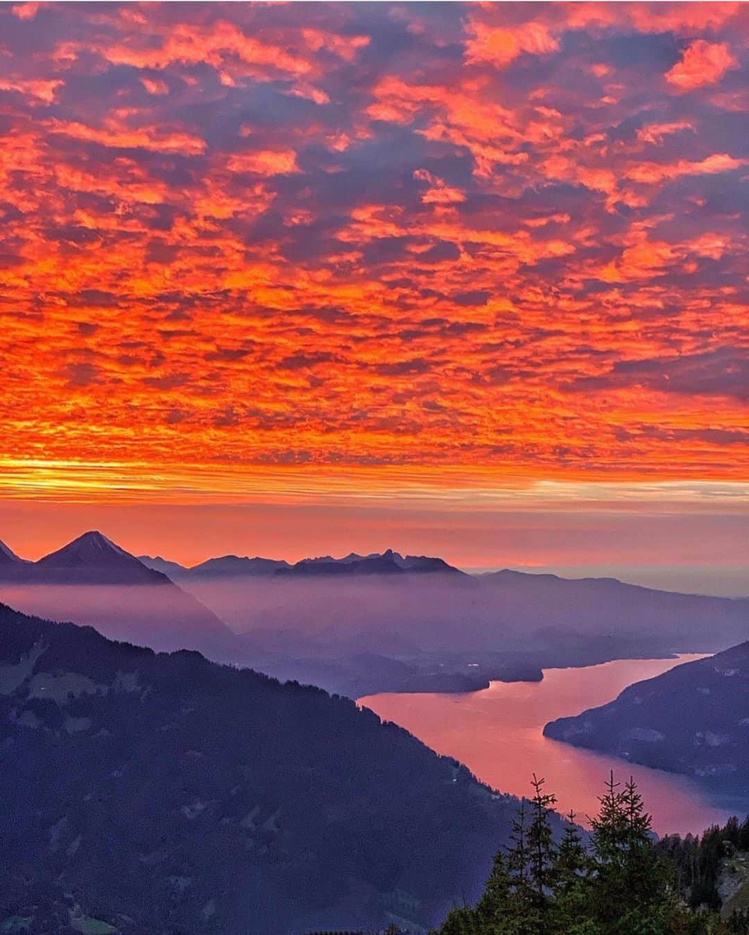 Wonderful Placesさんのインスタグラム写真 - (Wonderful PlacesInstagram)「Beautiful views of ✨@schynigeplatte✨ in Switzerland ✨❤️❤️❤️✨ @myswitzerland @myinterlaken .  Pics by @cbezerraphotos #schynigeplatte #inlovewithswitzerland #interlaken」10月7日 15時25分 - wonderful_places