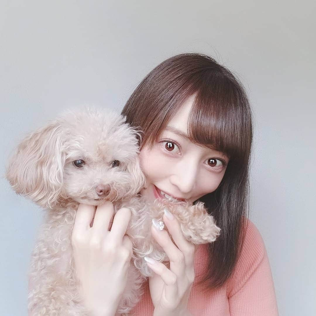 池田夏希さんのインスタグラム写真 - (池田夏希Instagram)「ずっと家に居るから、こむぎちゃんの甘えん坊モードが炸裂で嬉しい😍💕 . ツンデレな彼女に振り回されっぱなしです😂💦 . #療養 #暇ですね #でも #こむぎとずっと一緒 #こむぎ #愛犬 #甘えん坊 #炸裂 #たまらない #嬉しい #ツンデレ #振り回されっぱなし #どっぐすたぐらむ #えぶりどっぐ  #recuperation #freetime #together #komugi #mydog #spoiled #explosion #unbearable #happy #love #dogstagram #dogsofinstagram #everydog #instadog」10月7日 15時36分 - natsukiikeda624