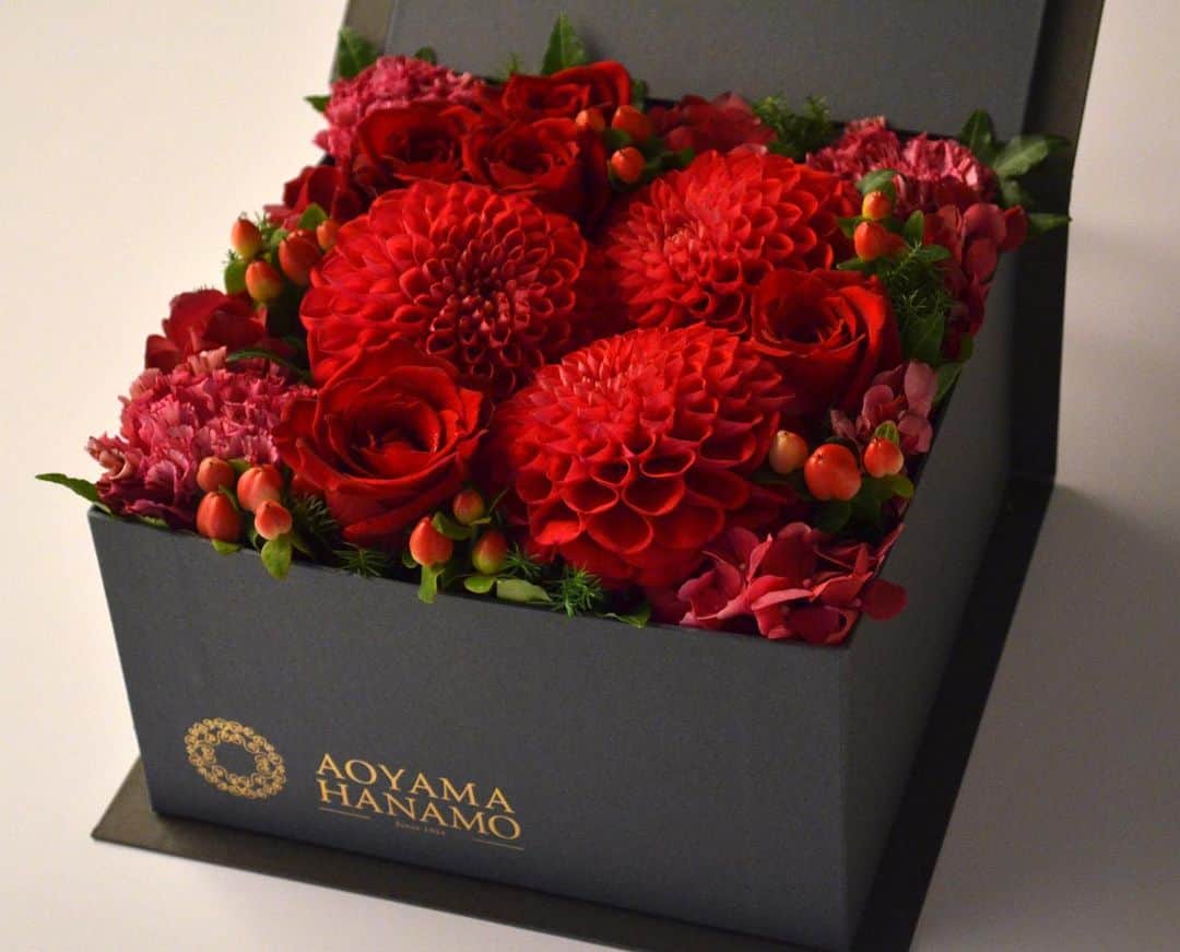 AOYAMA_HANAMOのインスタグラム：「10月初旬、今年のウィンターギフトカタログの撮影を行いました。 クリスマス向けのアレンジメントや花束など、フレッシュフラワーのみずみずしさや美しさそのままに撮影していただきました。いったいどんな紙面になるのか、今からとてもワクワクしています。 こちらのカタログ郵送をご希望の方は、オンラインショップにて会員登録をしていただき、「紙DM送付」で「可」をお選びください。 お品物はオンラインストアでも近々公開いたします。ぜひご覧くださいね。 --- #aoyamahanamo #flower #flowers #flowershop #florist #tokyo #aoyama #omotesando #webstagram #flowerstagram #instagood #followme #花 #花屋 #フラワー #マクロ萌え部 #ザ花部 #花のある暮らし #花のある生活 #花育 #東京 #青山 #表参道  #クリスマスフラワーギフト #アレンジメント #ダリア #アマリリス #rose #amaryllis #dahlia」