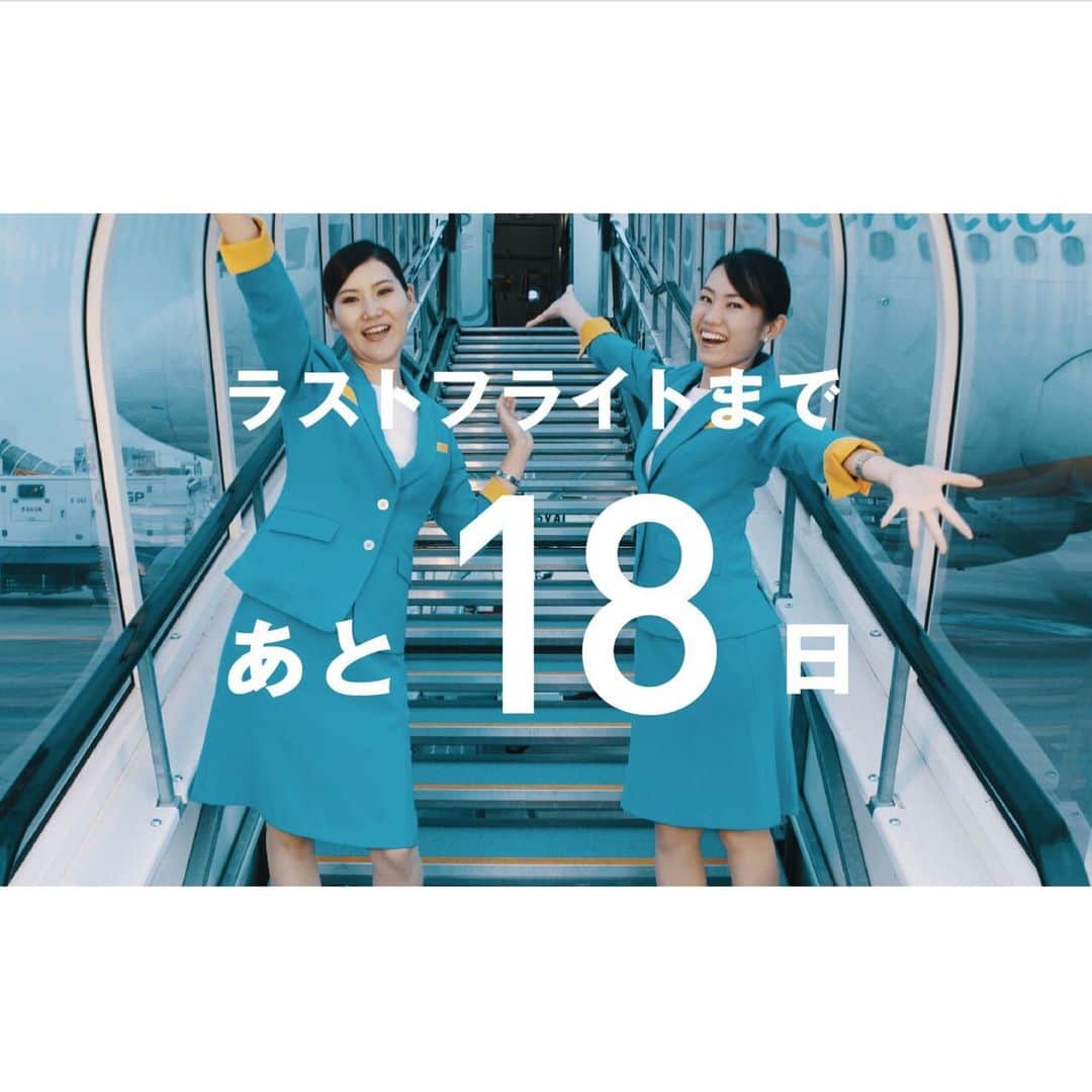 のインスタグラム：「一際目立つ青色をした制服  #ラララ_ラストフライト  #バニラエア  #香草航空」