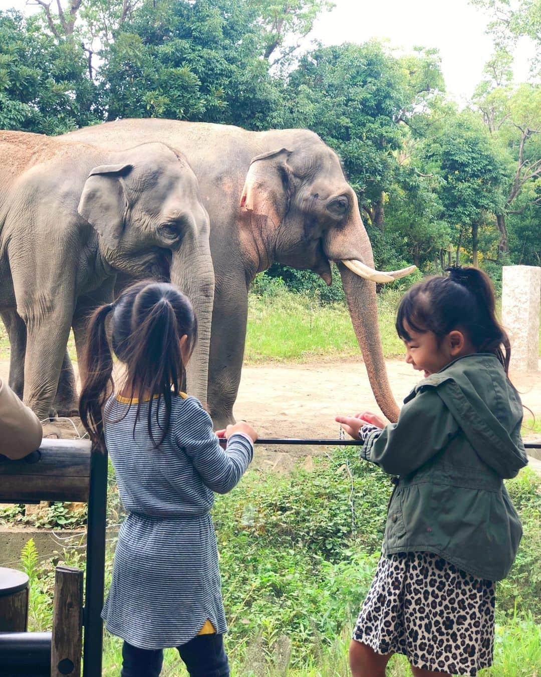 shizuka.watanabeさんのインスタグラム写真 - (shizuka.watanabeInstagram)「♡♡♡ ・ ・ 本日は振替休日〜💗 ・ 動物園へ行ってきたよ❗️ ・ ・ この動物園大好きなんですよね🐹 ・ 大好きなお友達と一緒で 次女も楽しそうだったなぁ〜！ ・ ・ 動物も涼しかったからか 元気でサービス精神が旺盛で いいショットばかり撮れたな💗 ・ ・ ・ ・ 次はお留守番だった長女も一緒に♡ ・ ・ ・ #towface #chanel #chanelshoes #chanelsneakers #basementonline #ベースメントオンライン #動物園 #zoo #ズーラシア #ズーラシア動物園 #リンクコーデ #親子コーデ #親子リンクコーデ #おやこーで #子供と暮らす #ミリタリージャケット #カジュアルコーデ #カジュアルファッション #カジュアル #きれいめカジュアル #カジュアルママコーデ #ママコーデ #大人カジュアルコーデ #大人カジュアル #シャネル #jandmdavidson #女の子ママ #姉妹ママ #子供とお出かけ」10月7日 18時52分 - shizuka.watanabe