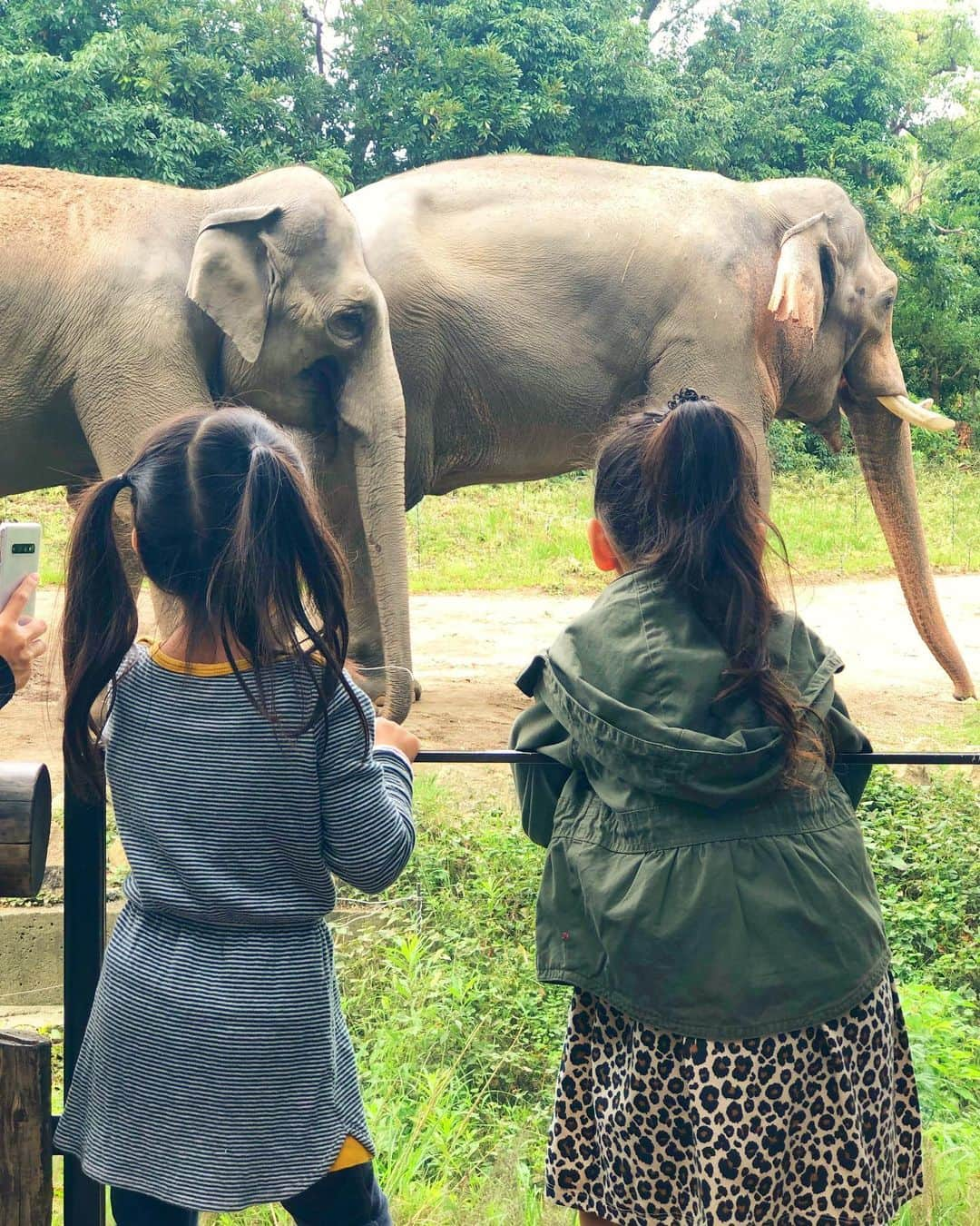 shizuka.watanabeさんのインスタグラム写真 - (shizuka.watanabeInstagram)「♡♡♡ ・ ・ 本日は振替休日〜💗 ・ 動物園へ行ってきたよ❗️ ・ ・ この動物園大好きなんですよね🐹 ・ 大好きなお友達と一緒で 次女も楽しそうだったなぁ〜！ ・ ・ 動物も涼しかったからか 元気でサービス精神が旺盛で いいショットばかり撮れたな💗 ・ ・ ・ ・ 次はお留守番だった長女も一緒に♡ ・ ・ ・ #towface #chanel #chanelshoes #chanelsneakers #basementonline #ベースメントオンライン #動物園 #zoo #ズーラシア #ズーラシア動物園 #リンクコーデ #親子コーデ #親子リンクコーデ #おやこーで #子供と暮らす #ミリタリージャケット #カジュアルコーデ #カジュアルファッション #カジュアル #きれいめカジュアル #カジュアルママコーデ #ママコーデ #大人カジュアルコーデ #大人カジュアル #シャネル #jandmdavidson #女の子ママ #姉妹ママ #子供とお出かけ」10月7日 18時52分 - shizuka.watanabe