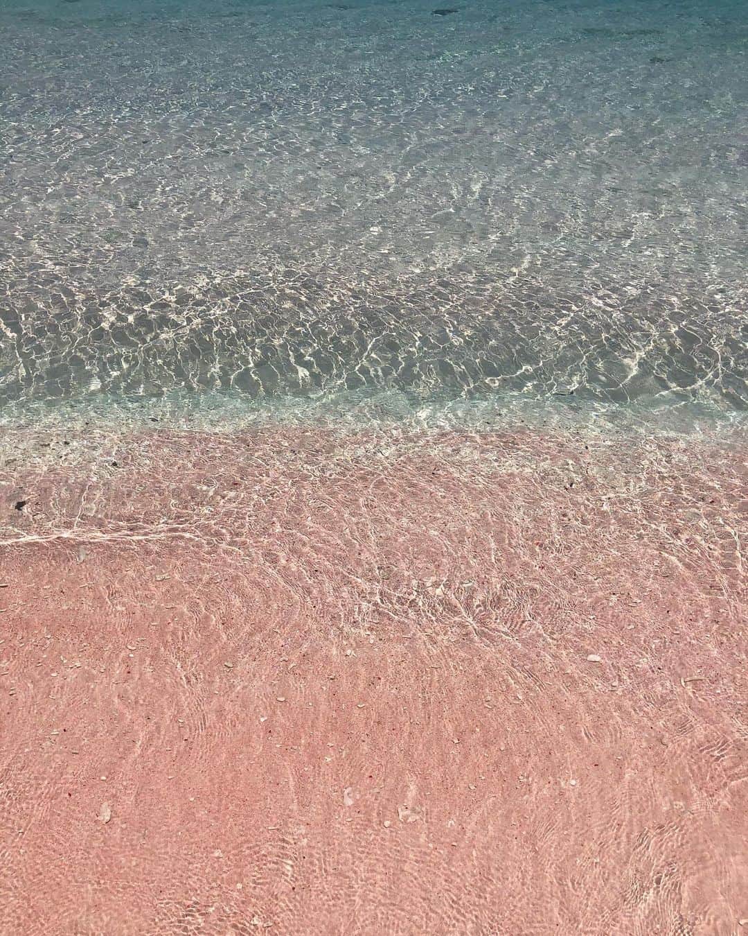 鈴木あやさんのインスタグラム写真 - (鈴木あやInstagram)「Pink beach🍒💓 砂浜が珊瑚のカケラでピンク色に染まった砂浜と透き通る海がめっちゃ綺麗でした。😭💖 ここだけのためにまたコモド島また来たいくらい。🥺笑 可愛すぎて本当に幸せだった🥰  #AYANAkomodo #AYANAInstaMeet #LabuanBajo #komodo #pinkbeachkomodo #pinkbeach #コモド島 #ピンクビーチ #🏝」10月7日 19時02分 - techitechiaya