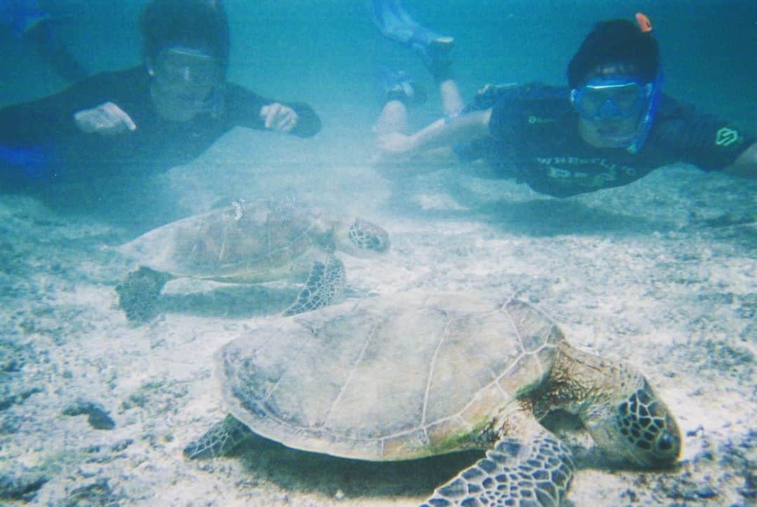 乙黒拓斗のインスタグラム：「ウミガメさん 写ってくれてありがとう🐢 #宮古島 #シギラビーチ」