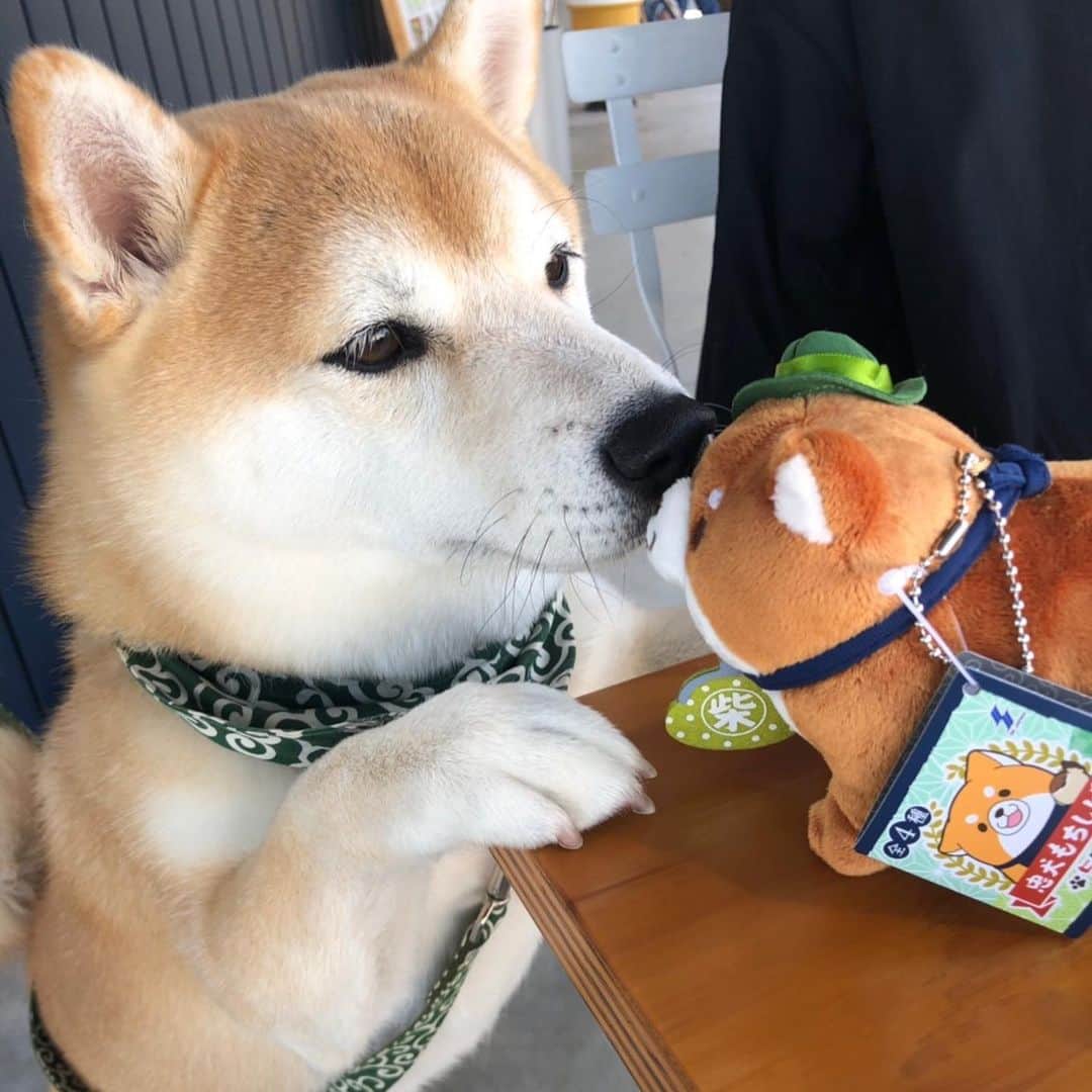 豆助左衛門（まめすけざえもん）のグルメインスタ