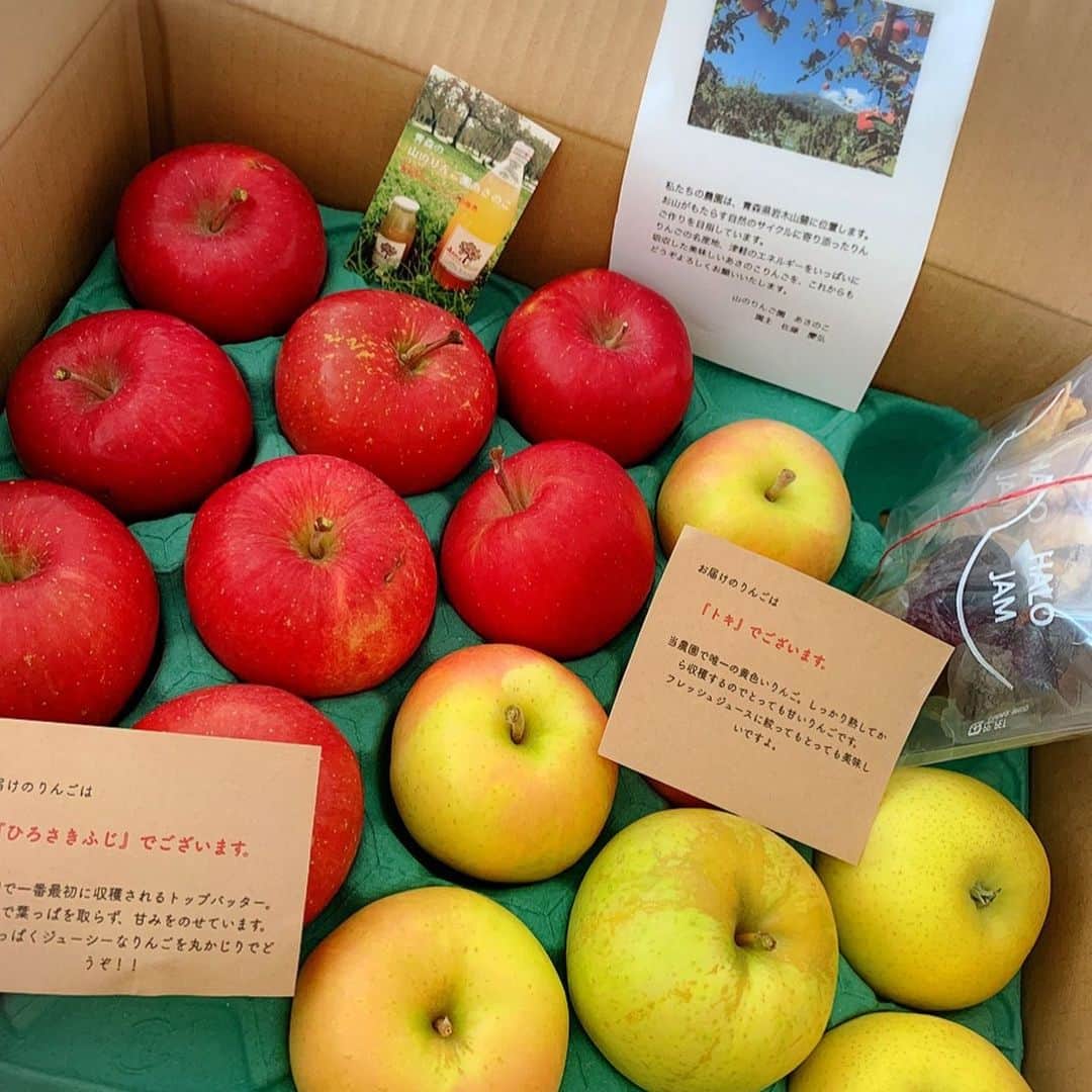 清澤恵美子さんのインスタグラム写真 - (清澤恵美子Instagram)「体調を崩した私に @asak511 先輩が青森の岩木山麓の山のリンゴ園あさのこのリンゴを送ってくれました🍎 このリンゴは元気になりまくりんご🍎🍎🍎現役時代は速くなりまくりんご！エッジきれまくりんご食べさせてもらって、今は元気になりまくりんご食べて、毎日ハッピーです^ ^ りんごは抗酸化物質の源💖1日一個食べて健康を取り戻してます🍏 ジャムやドライフルーツも作っているので、ぜひ見てみてください^ ^ インスタグラムでも注文可能です^ ^ #一日1個のりんごで医者いらず @asanokoringo こちらから🍎  https://halo-jam.jimdosite.com/ 無添加ジャムはこちら^ ^」10月7日 20時14分 - kiyosawaemiko