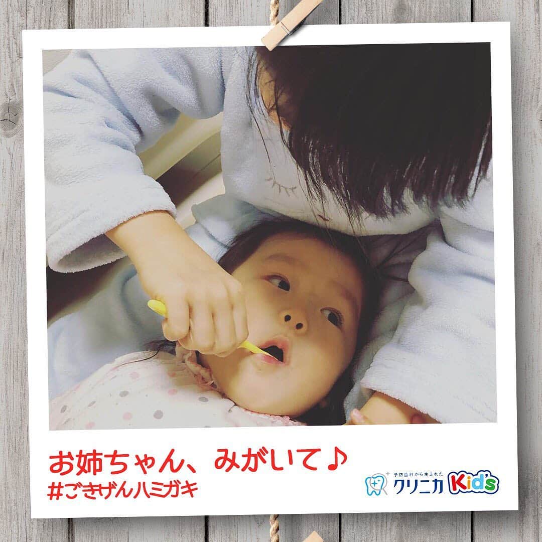 クリニカではじめよう予防歯科のインスタグラム：「今日の#ごきげんハミガキ♪﻿ ﻿ 皆さんこんにちは♪﻿ 今日は @yupputippuさんの#ごきげんハミガキ です！﻿ ﻿ 仕上げはおね〜ぇちゃ〜ん💕﻿ ﻿ 姉妹でけんかをすることもあるけれど、毎日の歯みがきの仕上げはお姉ちゃんがお約束💓しっかり手を握っています。﻿ ﻿ 食いしん坊の妹ちゃん、ご飯を食べた後はきれいに歯みがき。いつも優しくみがいてくれるお姉ちゃんみたいに、いつかは1人でみがけるようになるといいね✨﻿ ﻿ ----------------------﻿ #ごきげんハミガキ の投稿を募集中！﻿ クリニカKid’s公式アカウントでご紹介させていただきます♪﻿ ----------------------﻿ ﻿ #クリニカ #クリニカキッズ #歯磨き #歯みがき #はみがき #ハミガキ #歯みがきタイム #歯磨き中 #仕上げはお姉ちゃん #姉妹 #育児 #育児日記 #育児記録 #子育て #子育て記録#こども #子供の成長 #成長記録 #成長日記 #子供のいる暮らし #ママライフ #女の子ベビー #お姉ちゃんと一緒 #親バカ部 #親バカ日記 #子供のいる暮らし #子育てのシェア #ママカメラ #おてんば娘」