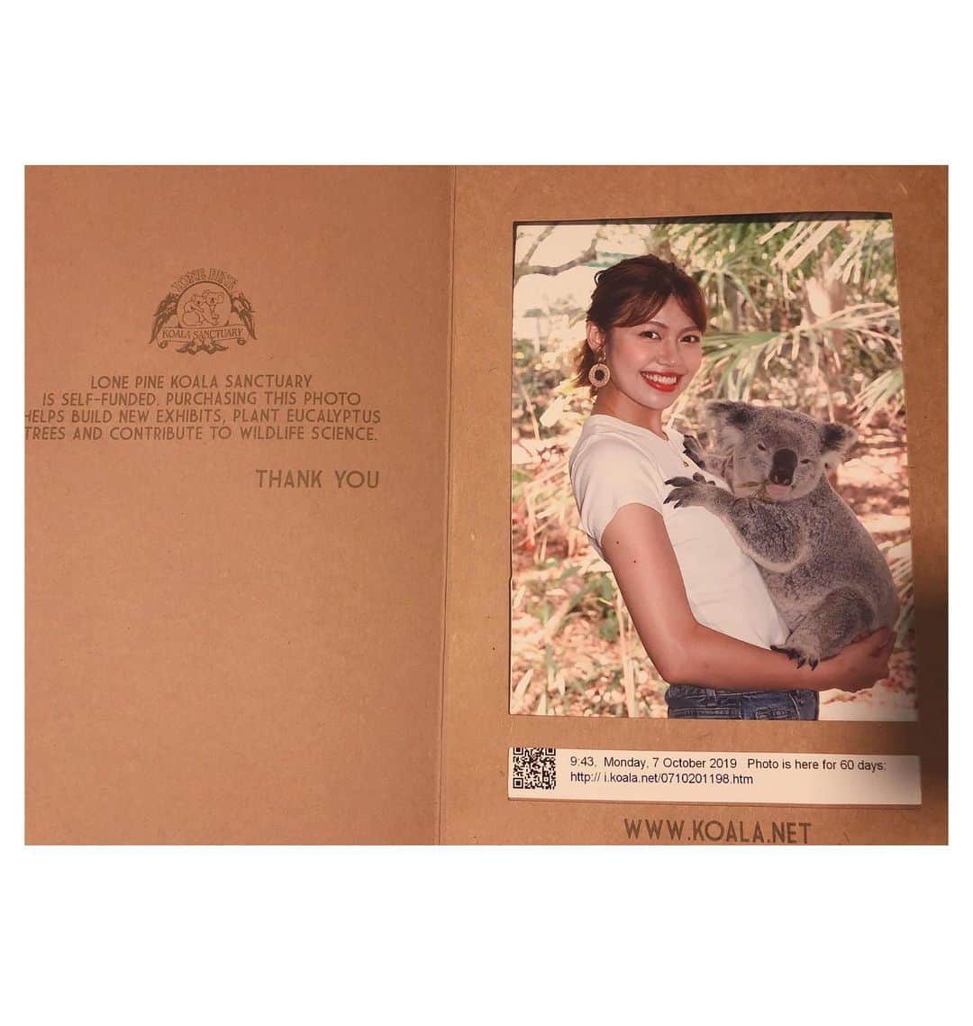 吉田晴香さんのインスタグラム写真 - (吉田晴香Instagram)「・ ・ 初めまして🐨 ・ ・ コアラ、意外と 剛毛でゴワゴワしててびっくり！ 見た目の可愛さとのギャップにまたもや やられた❤️🐨 かなり癒された〜🥺きゅんきゅん  コアラって 本当に抱きついてくれるんだ😭❤️ ・ ・ #オーストラリア #ワーホリ #ブリスベン #ローンパインコアラサンクチュアリ #コアラ」10月7日 20時29分 - haruka_yoshidaa